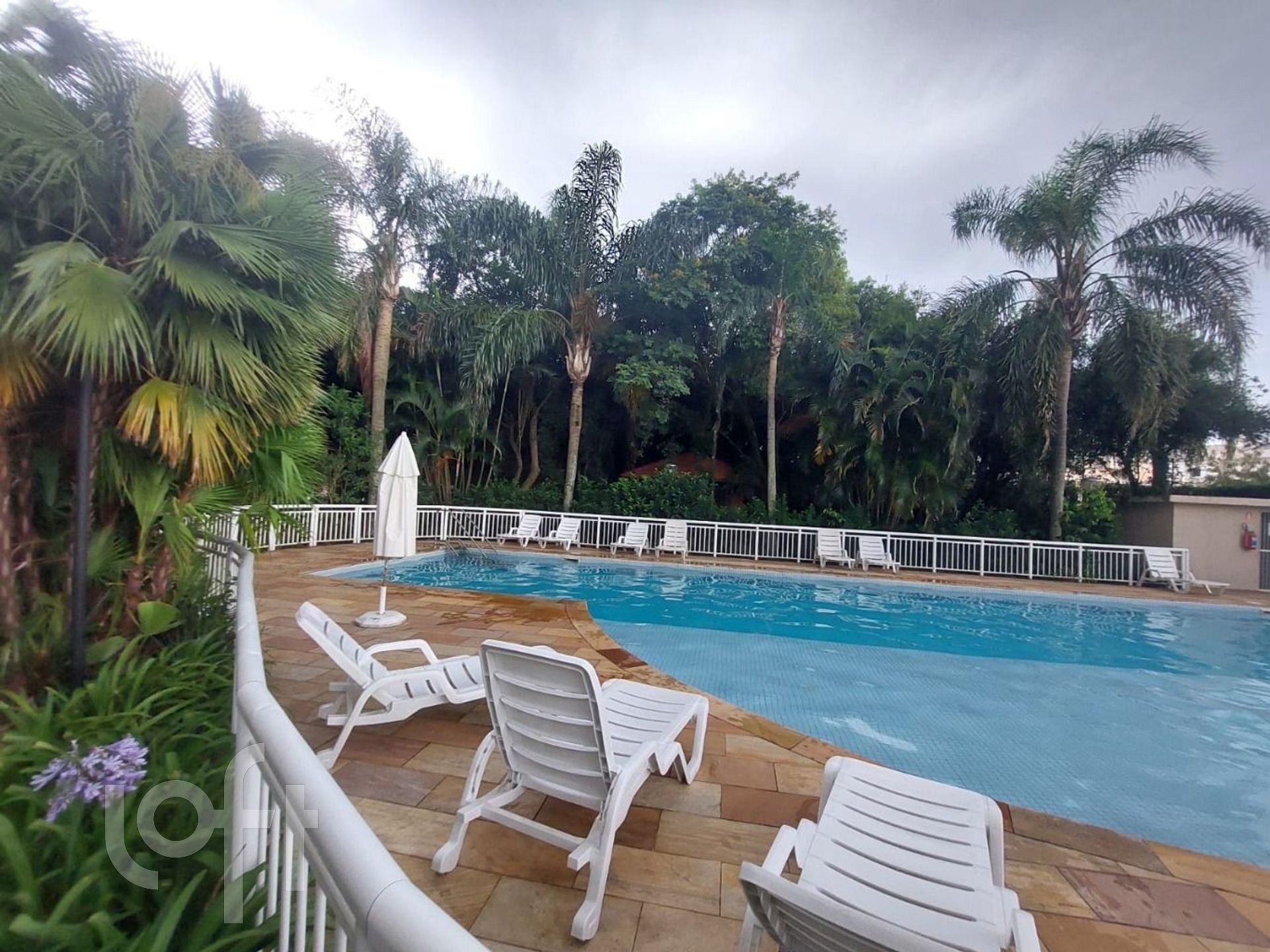 Imagem da propriedade 15