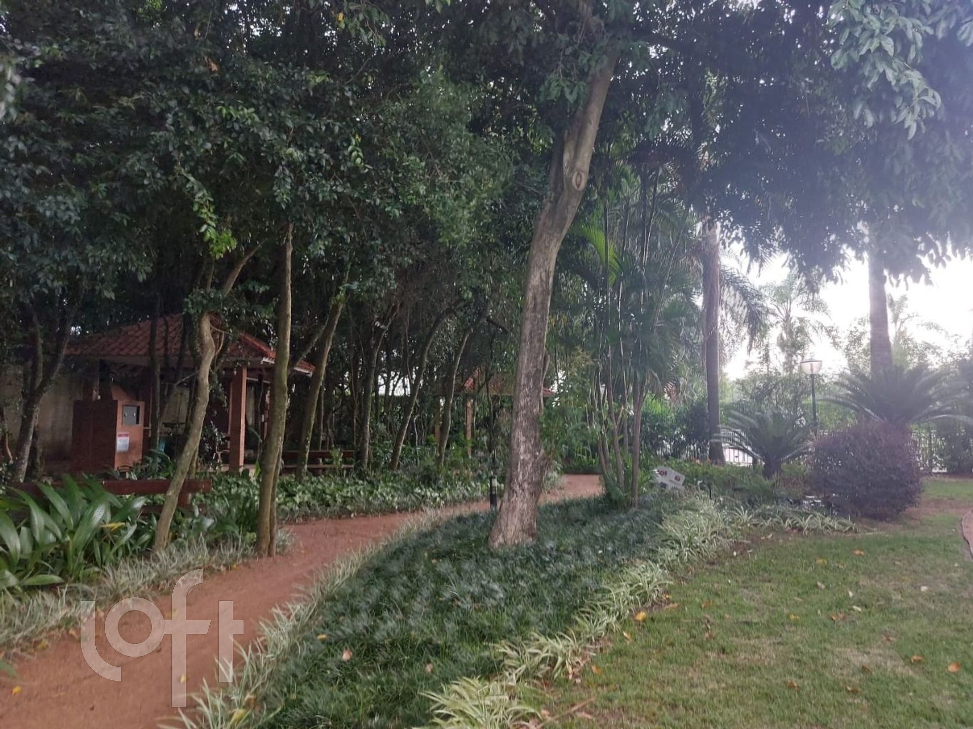 Imagem da propriedade 19