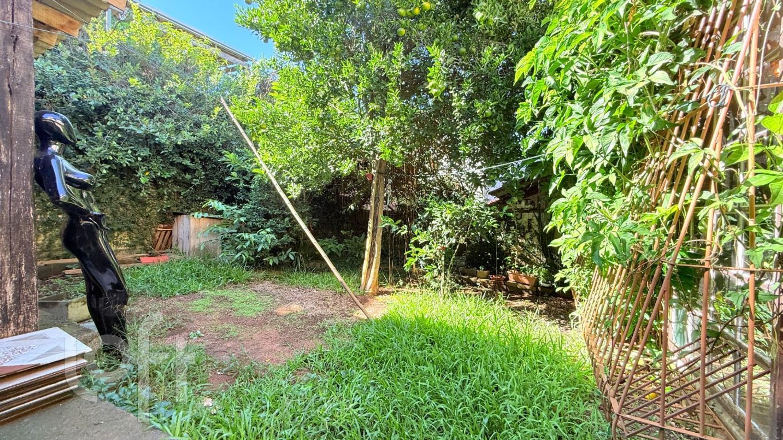 Imagem da propriedade 47