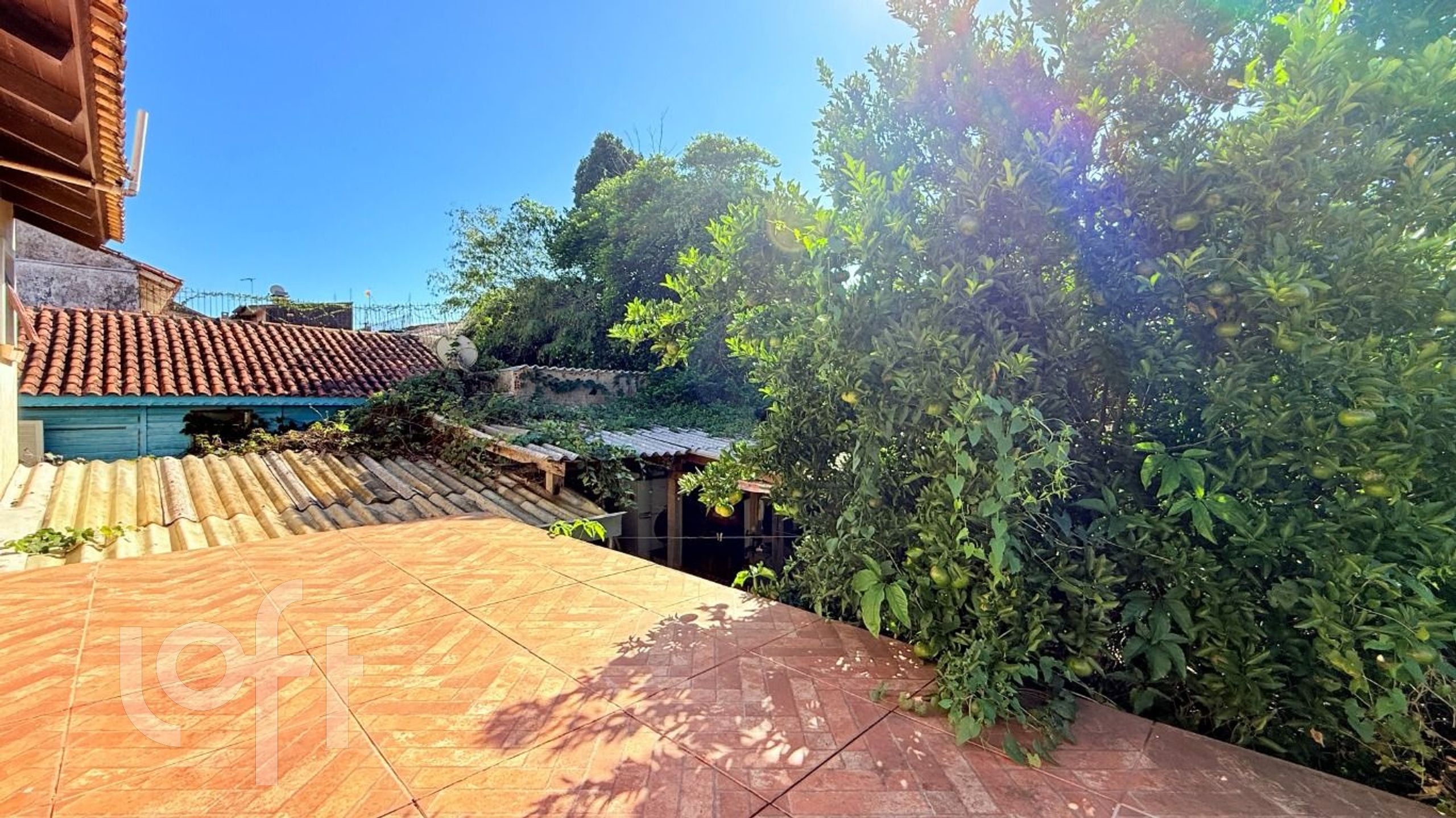 Imagem da propriedade 51