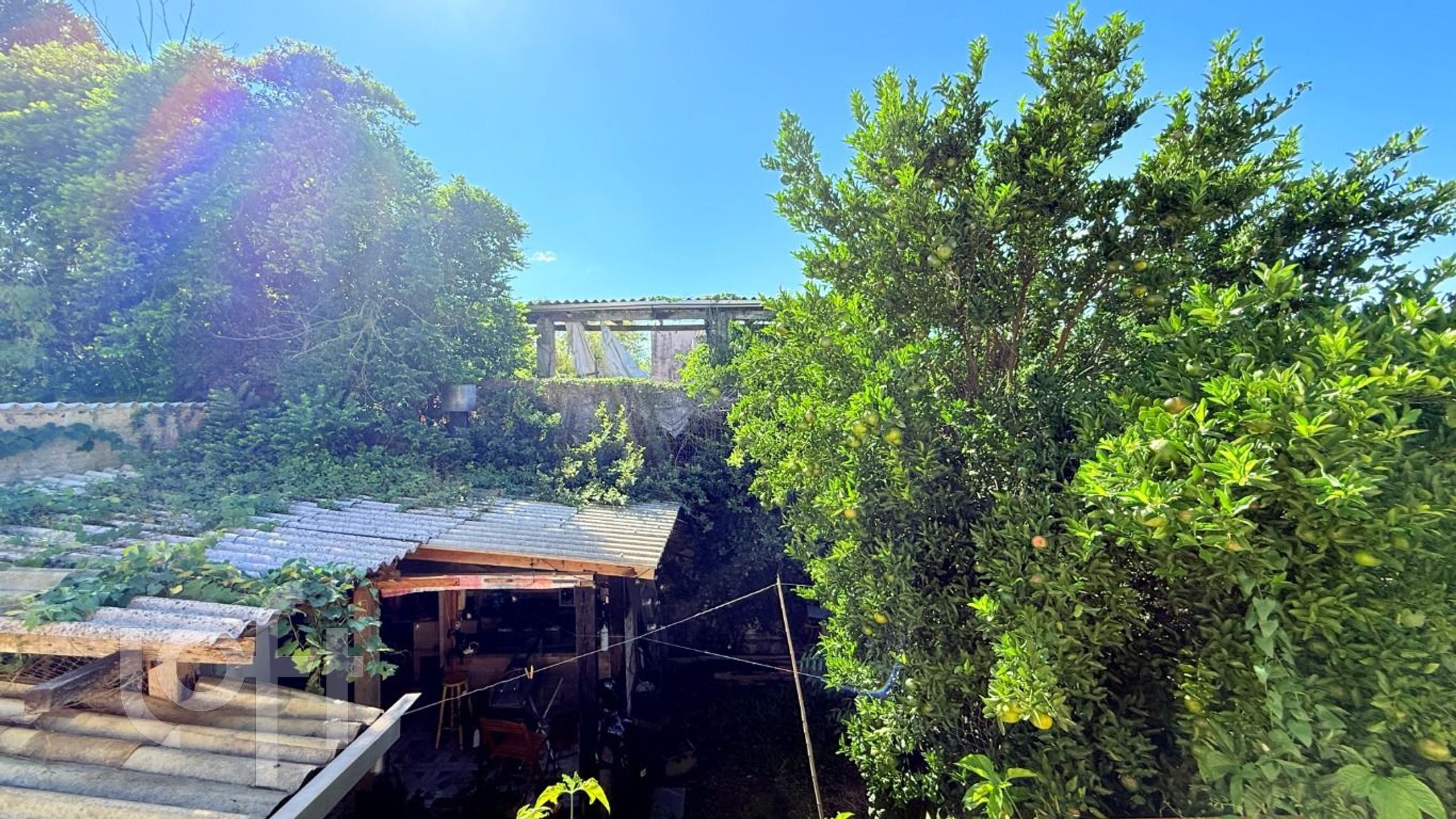 Imagem da propriedade 49