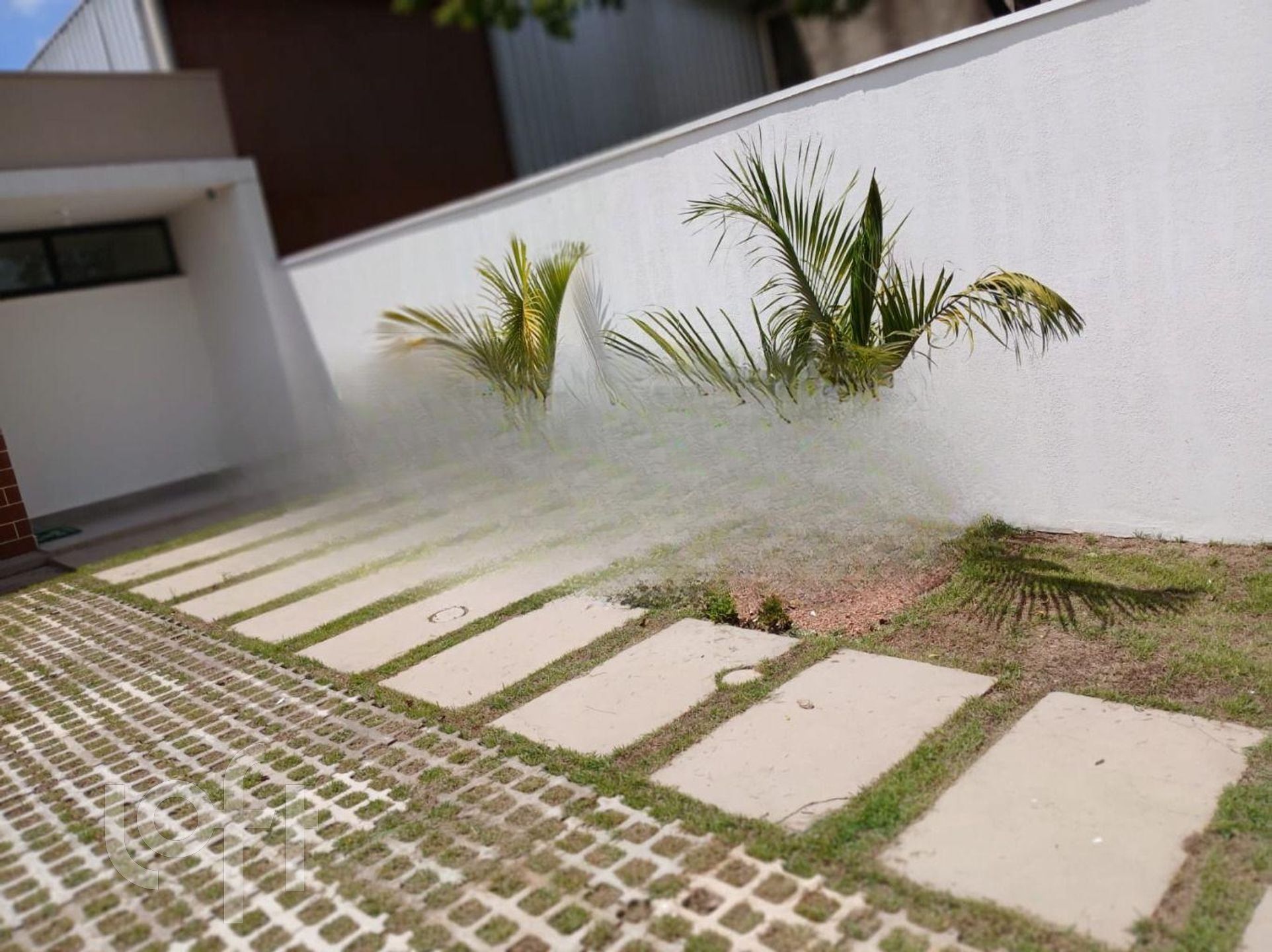 Imagem da propriedade 11