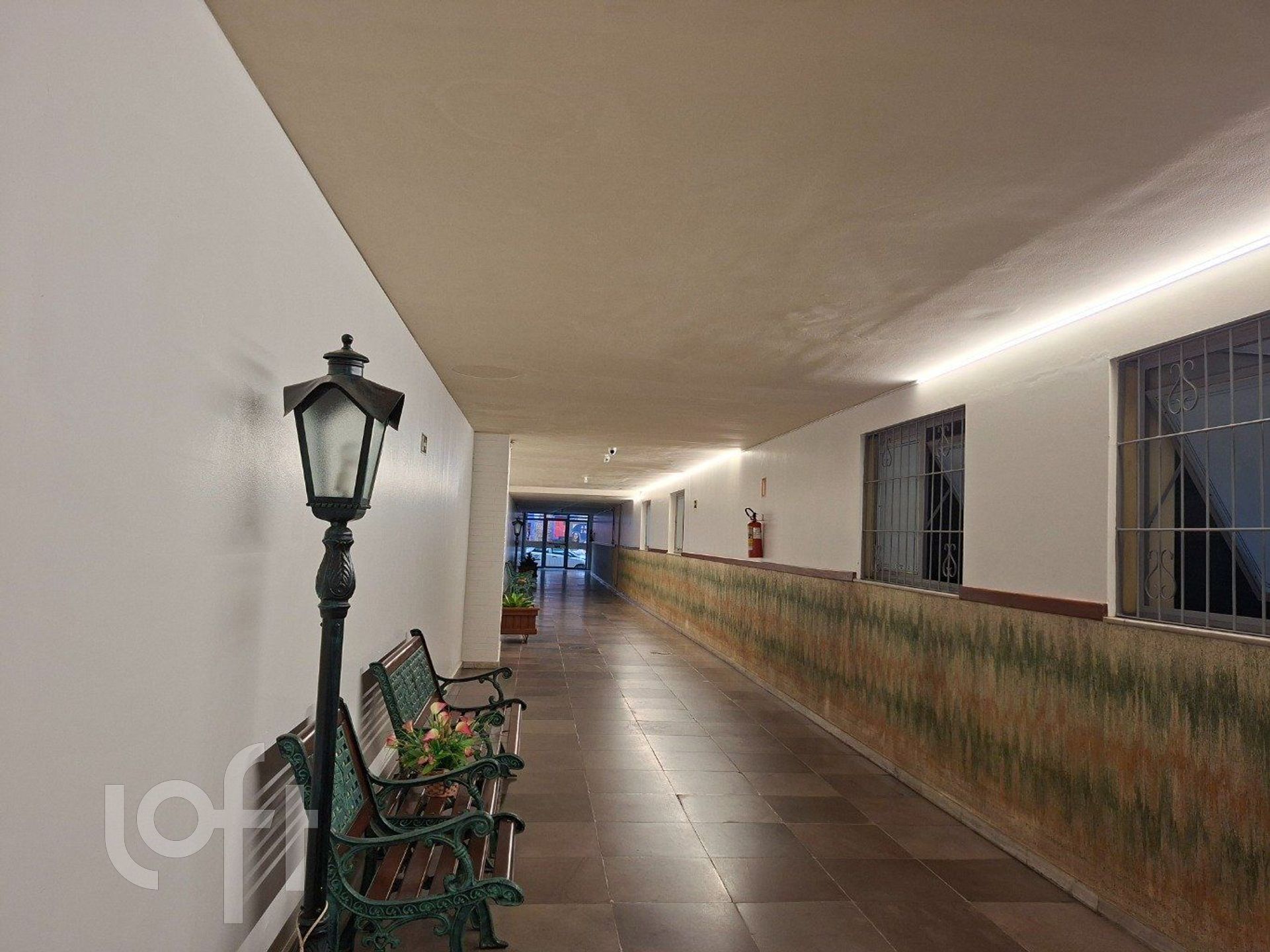 Imagem da propriedade 21