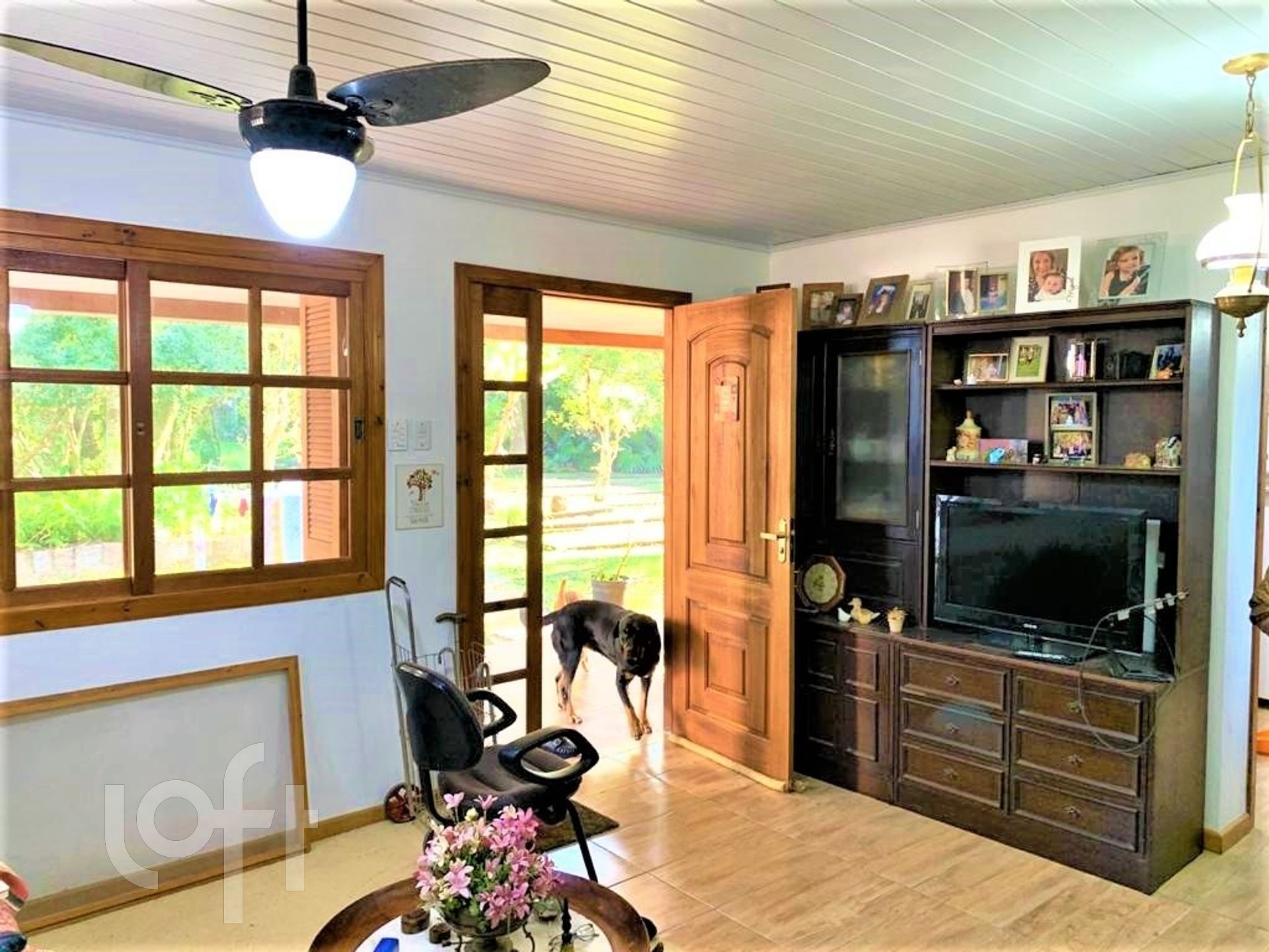 Imagem da propriedade 22