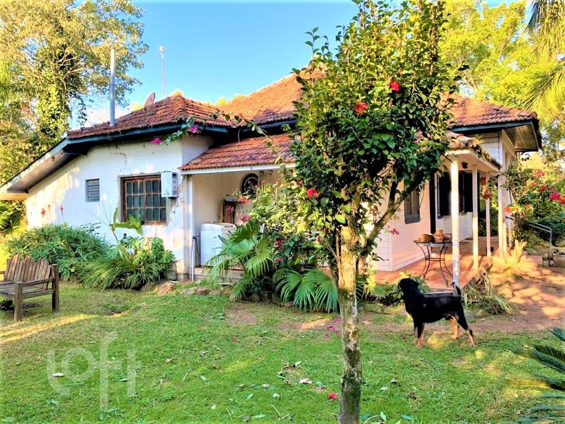 Imagem da propriedade 23