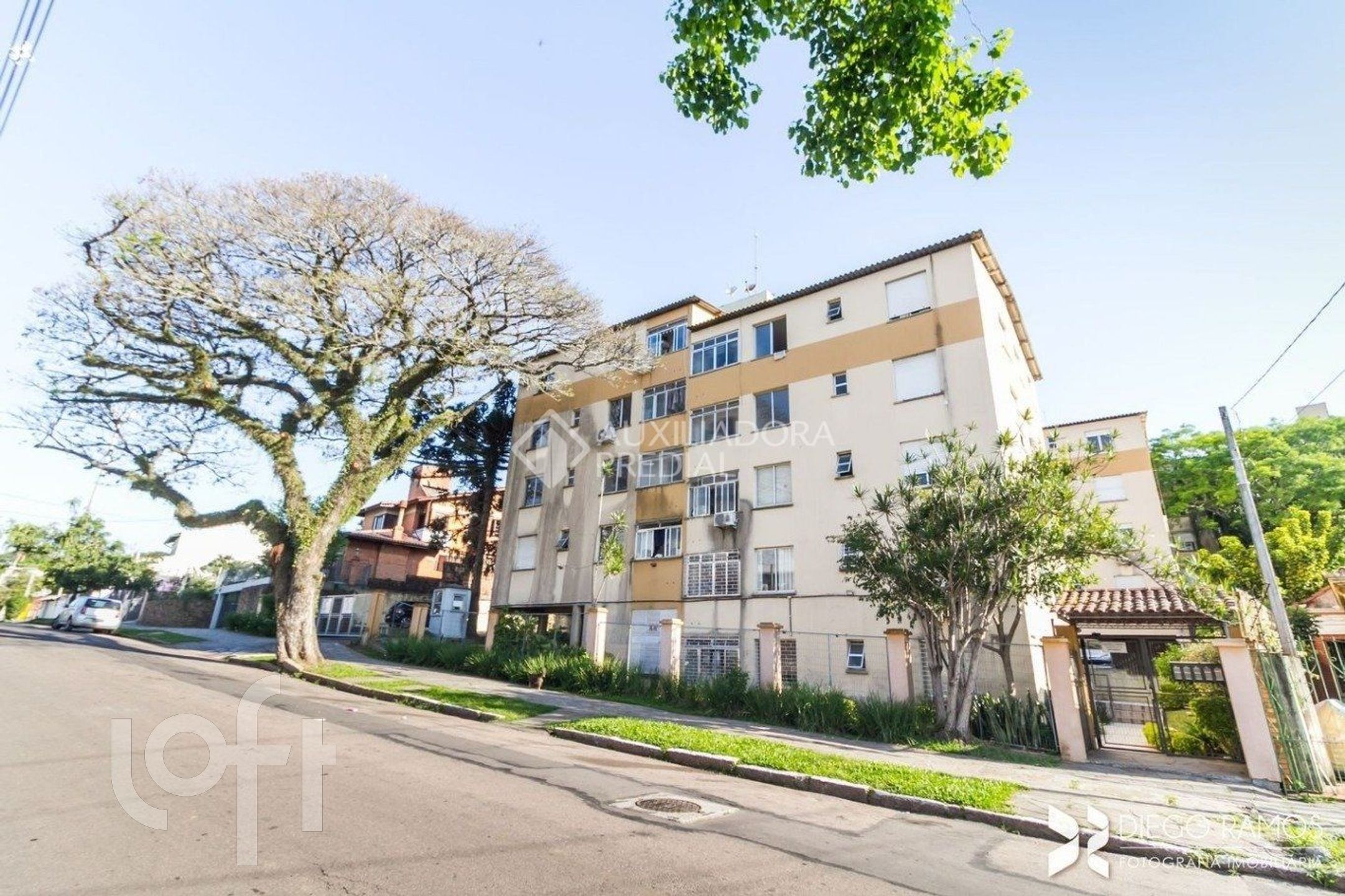 Imagem da propriedade 53