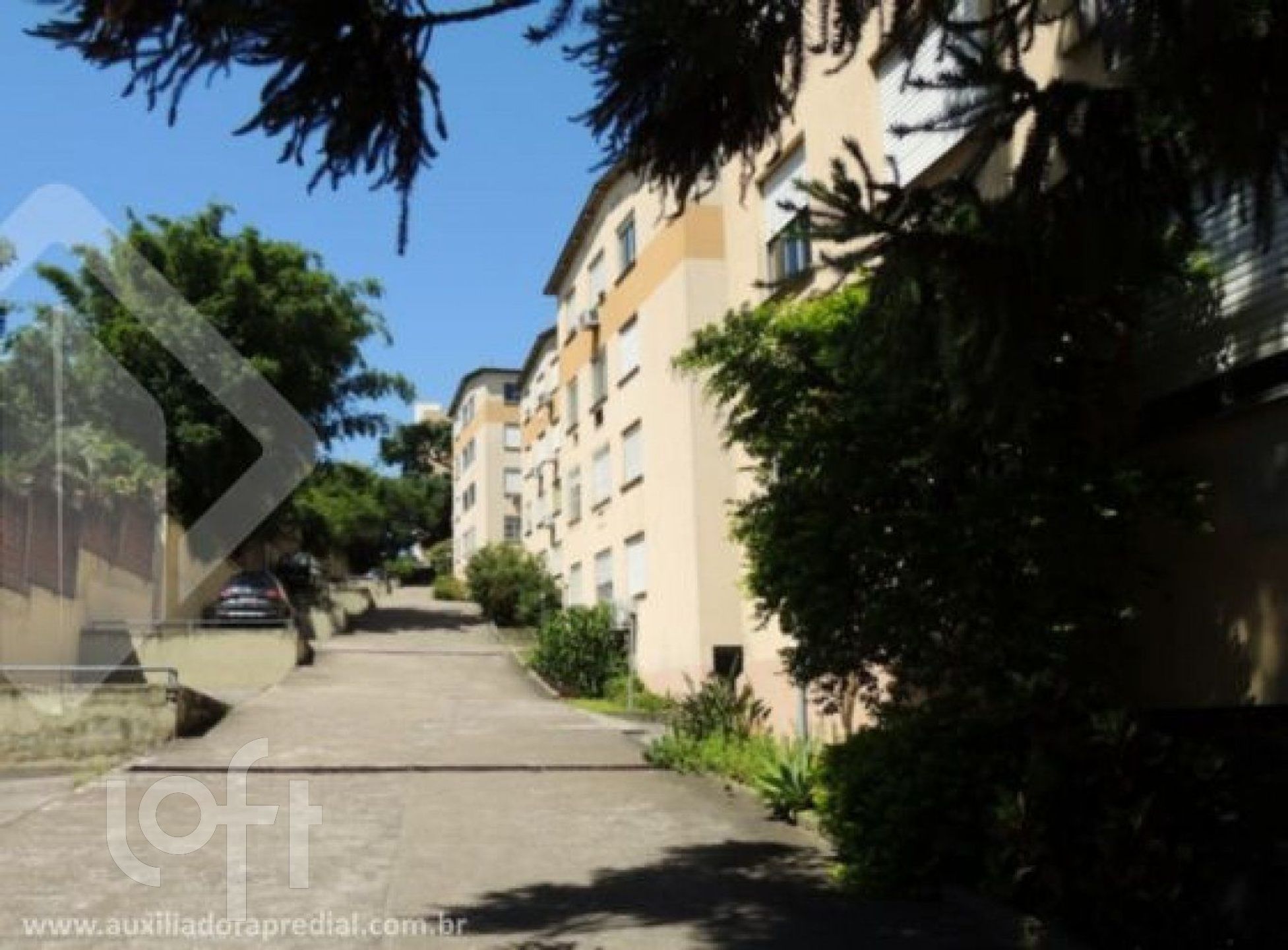 Imagem da propriedade 37