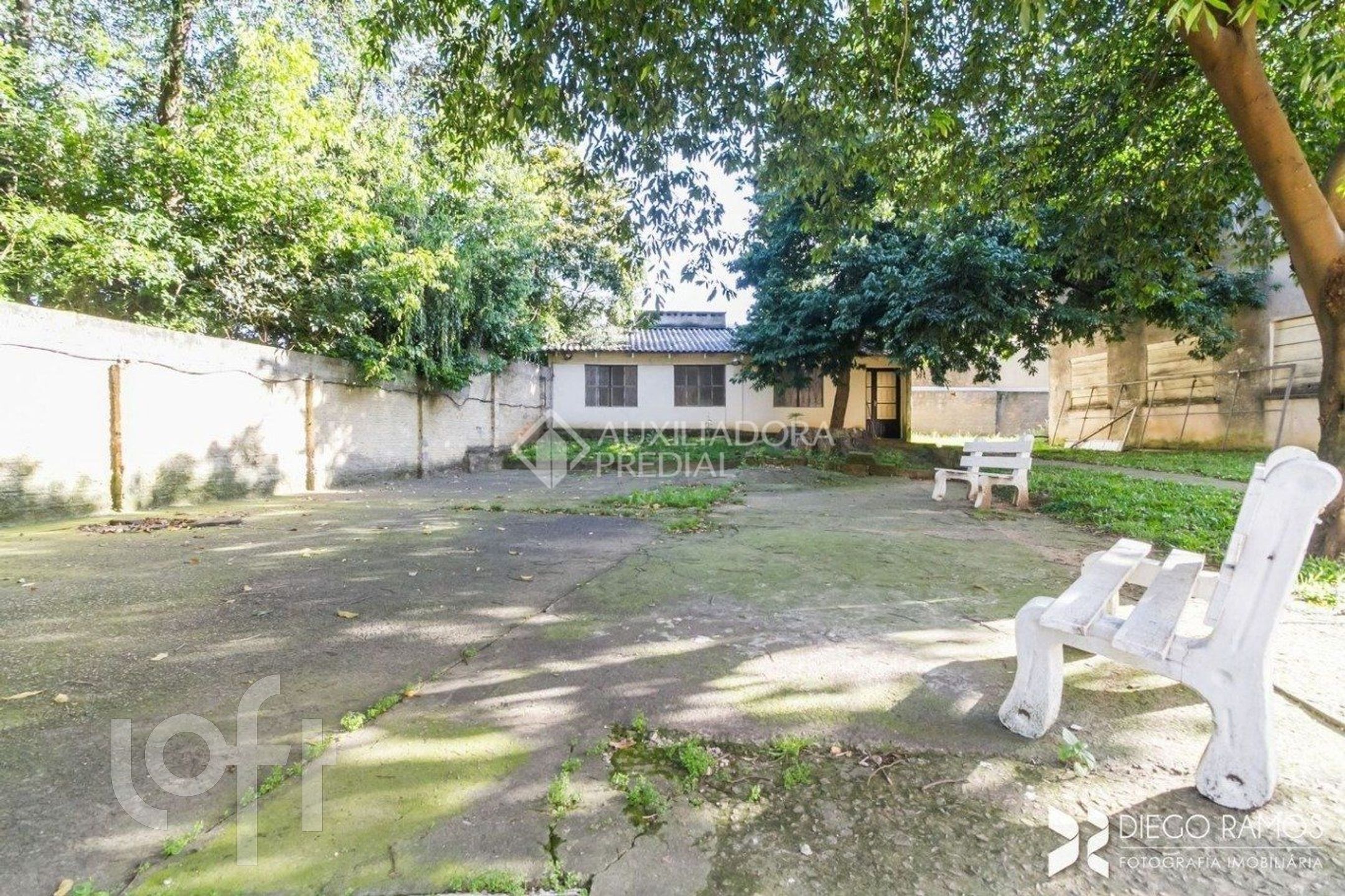 Imagem da propriedade 52