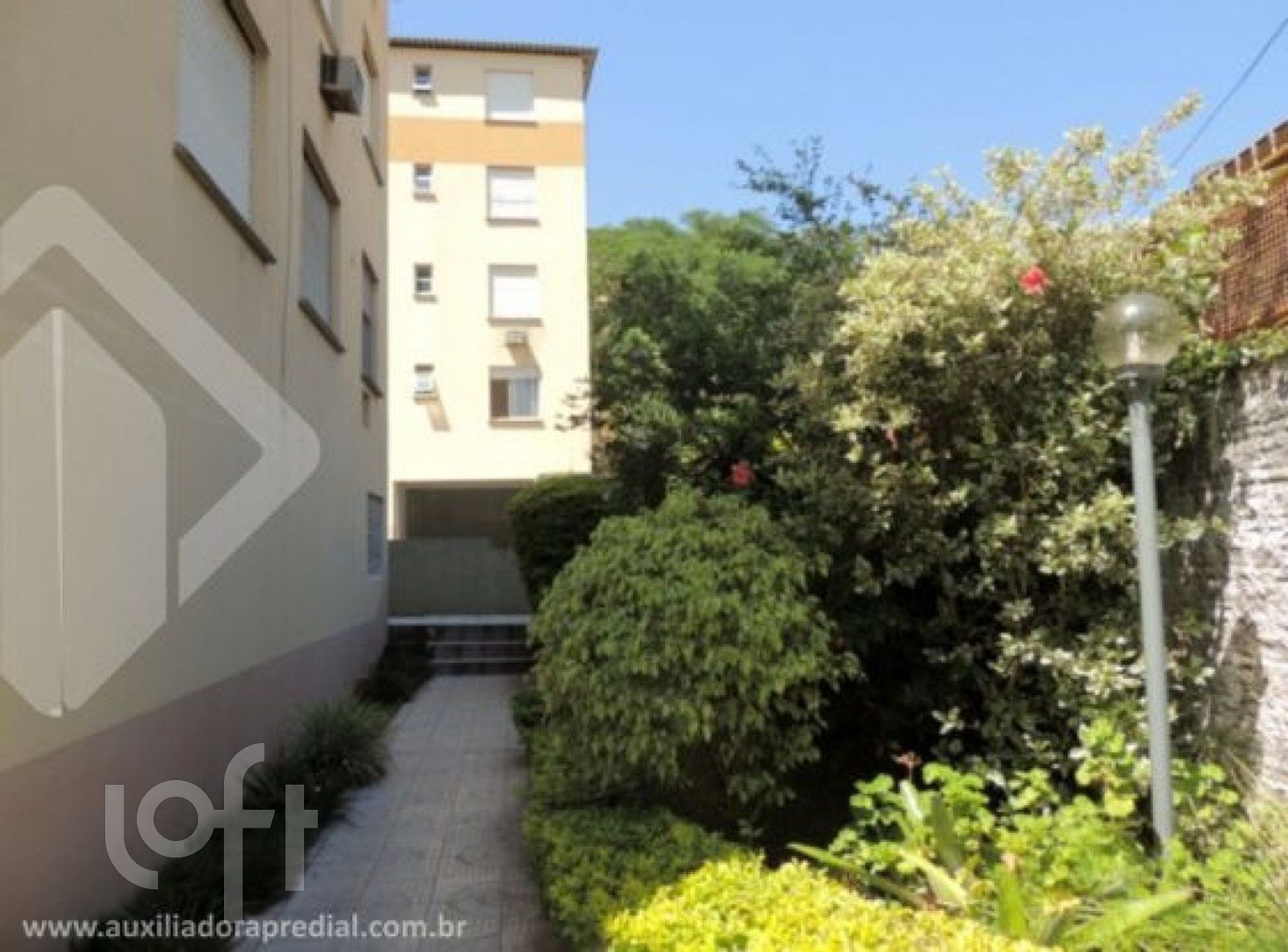 Imagem da propriedade 35