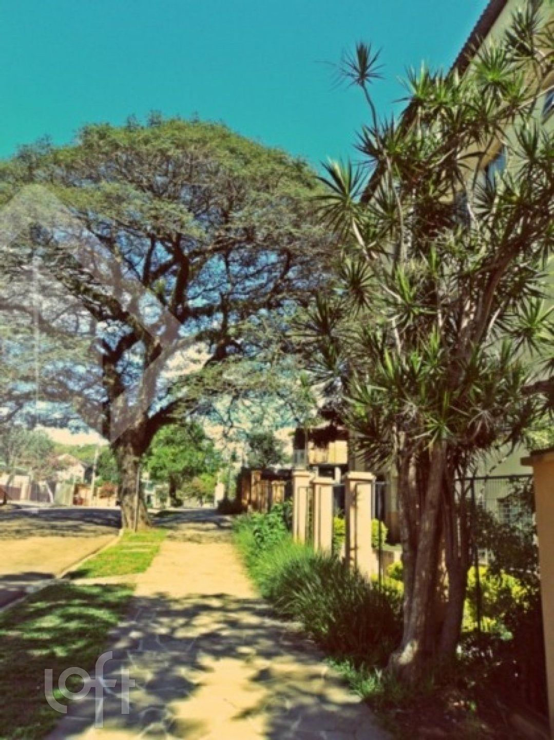 Imagem da propriedade 44