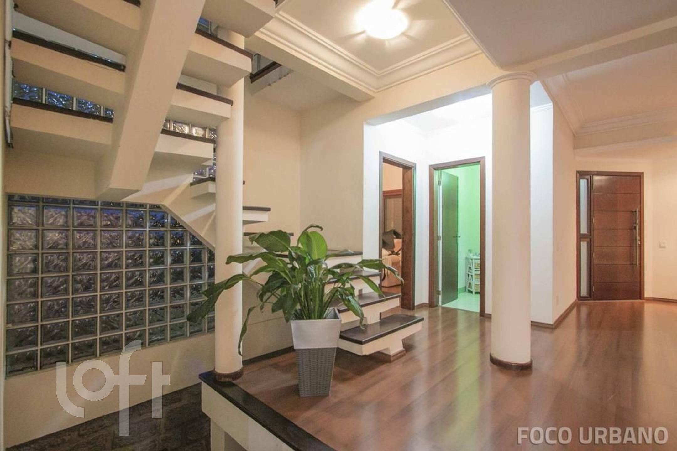 Imagem da propriedade 12