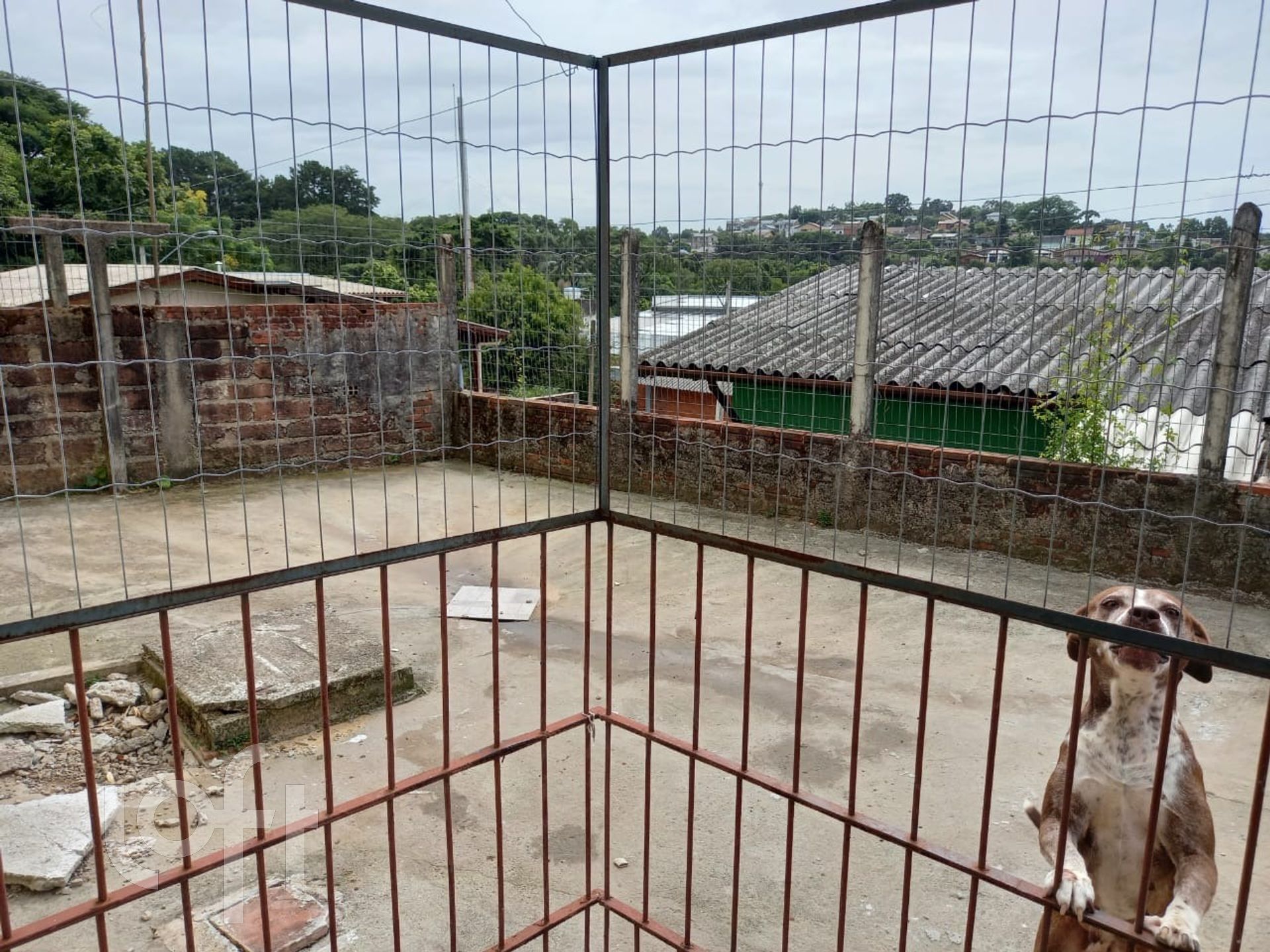 Imagem da propriedade 29