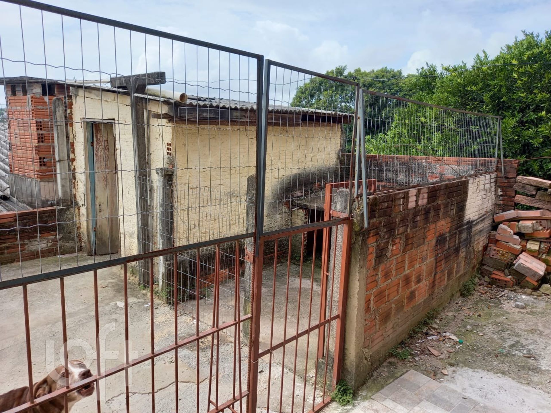 Imagem da propriedade 30