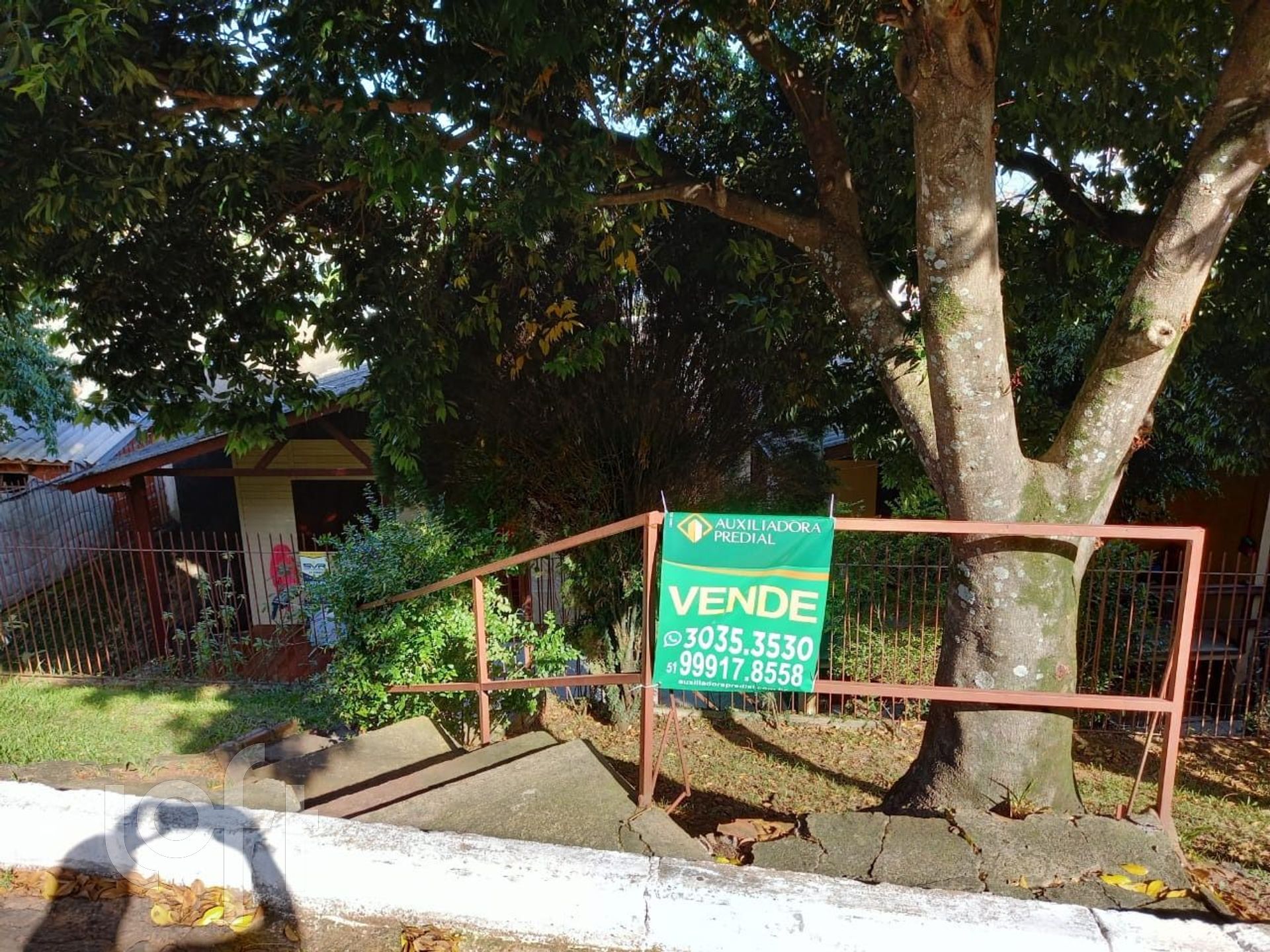 Imagem da propriedade 43