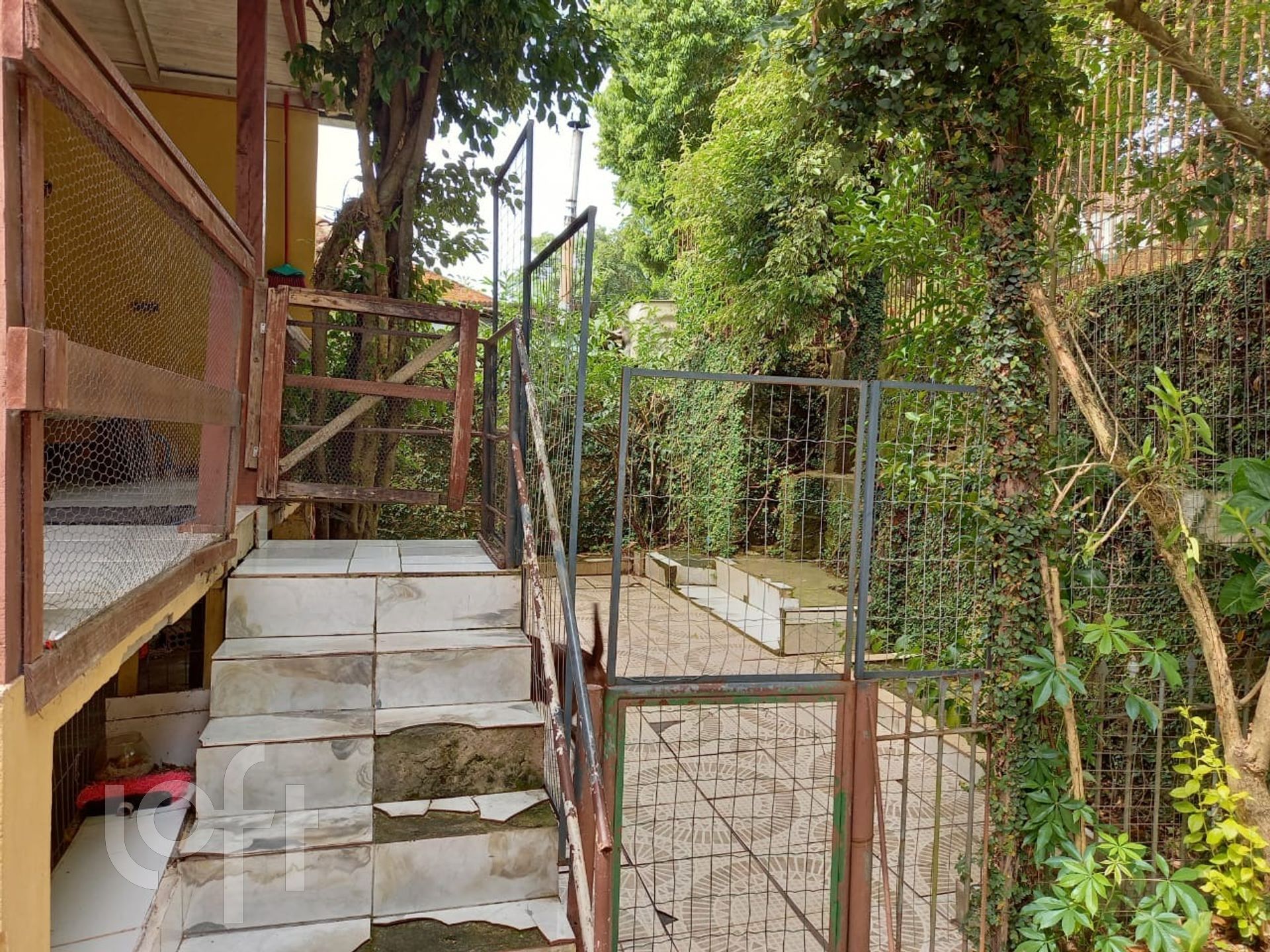 Imagem da propriedade 12