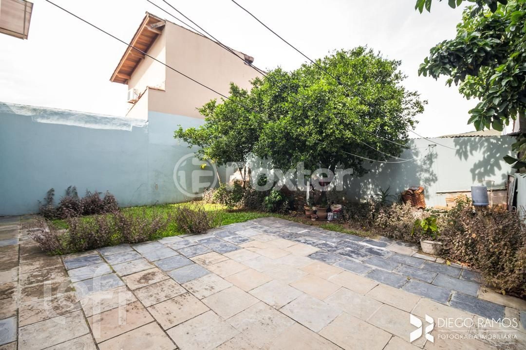 Imagem da propriedade 49