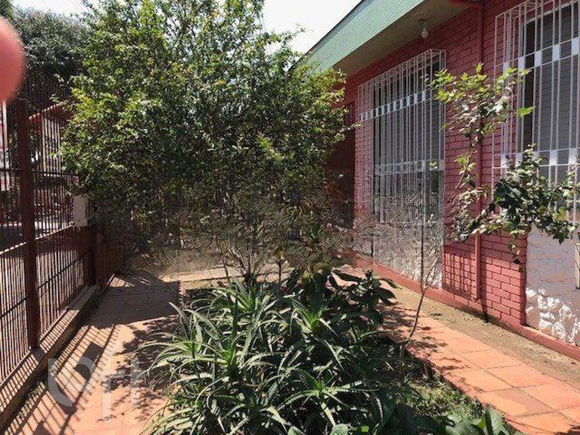 Imagem da propriedade 36