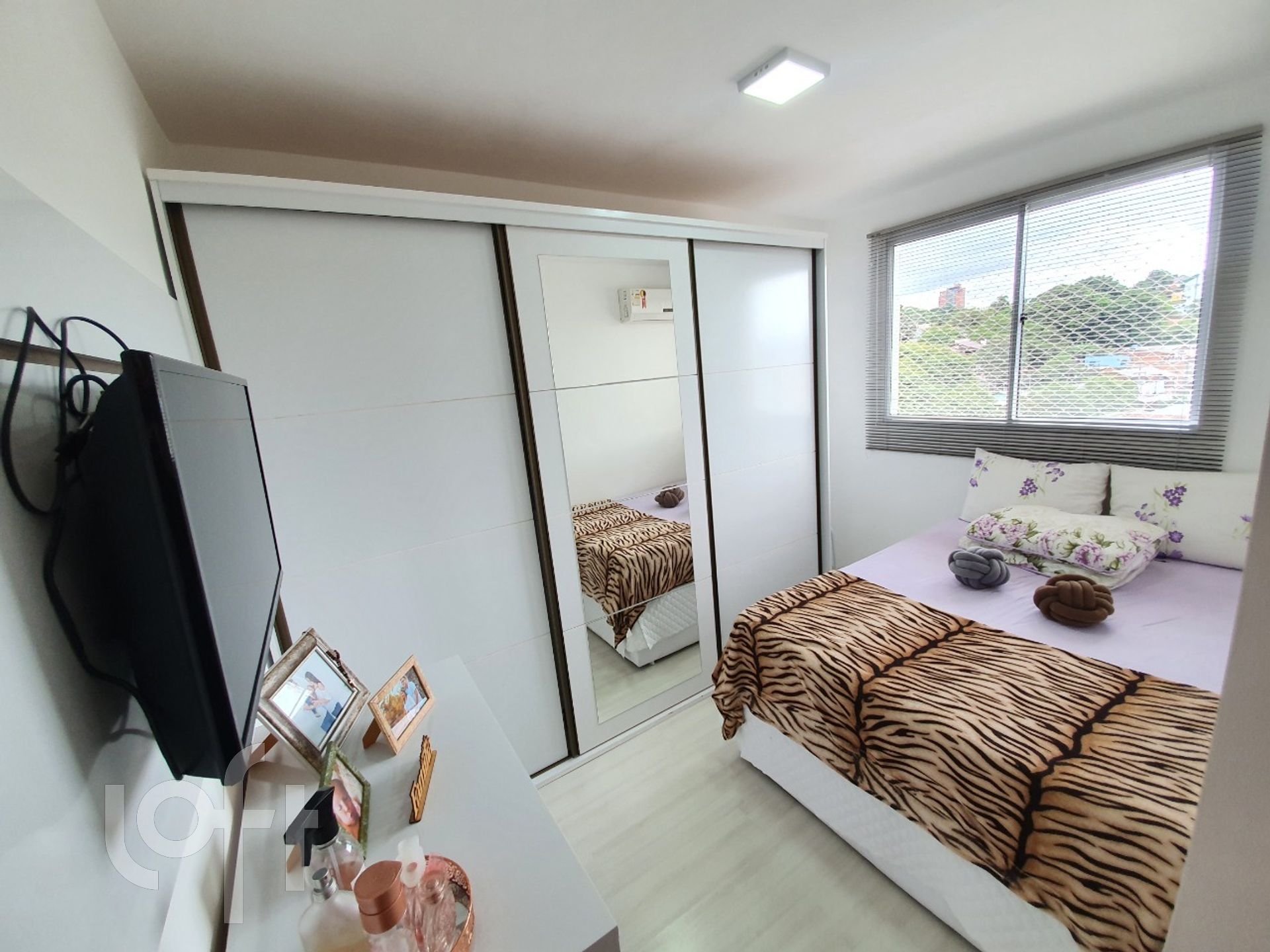 Imagem da propriedade 6