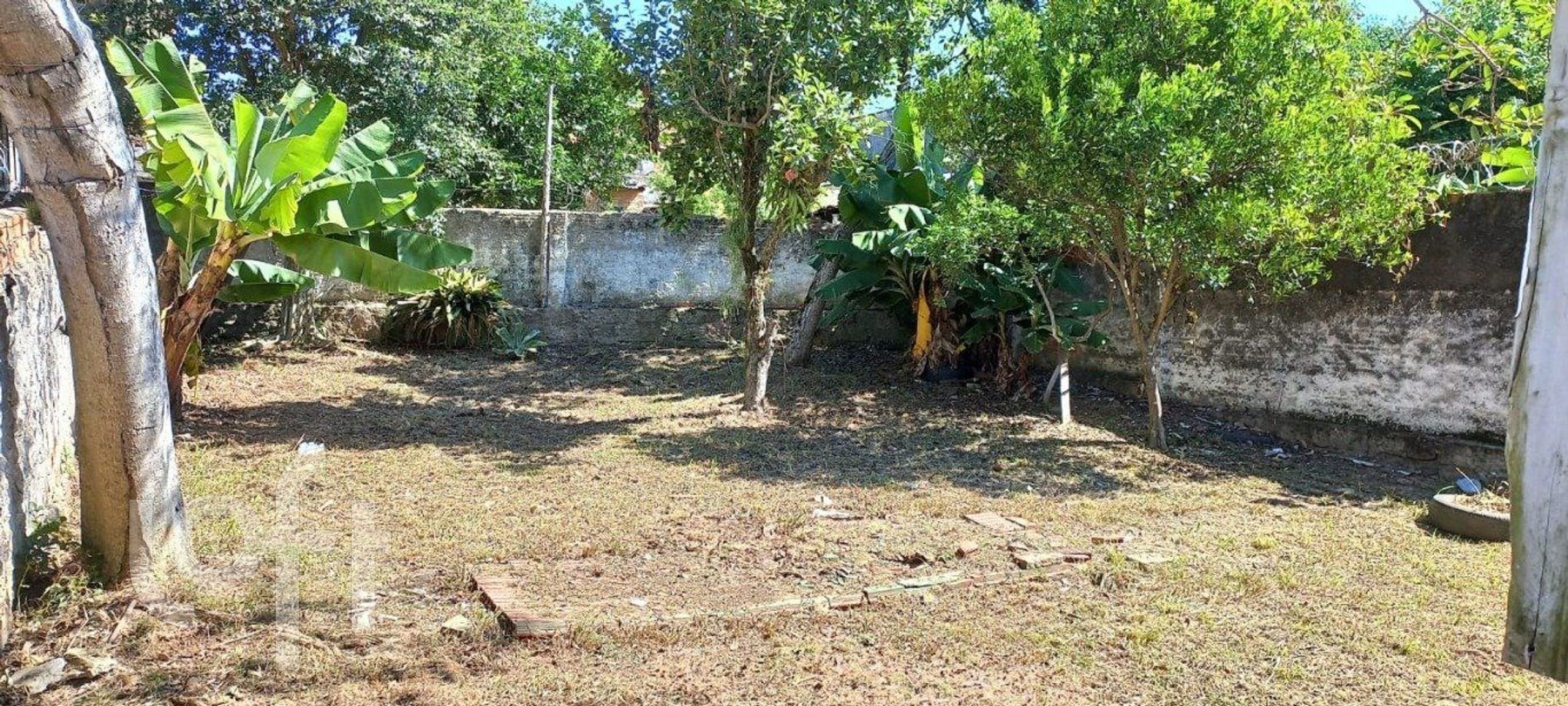 Imagem da propriedade 3