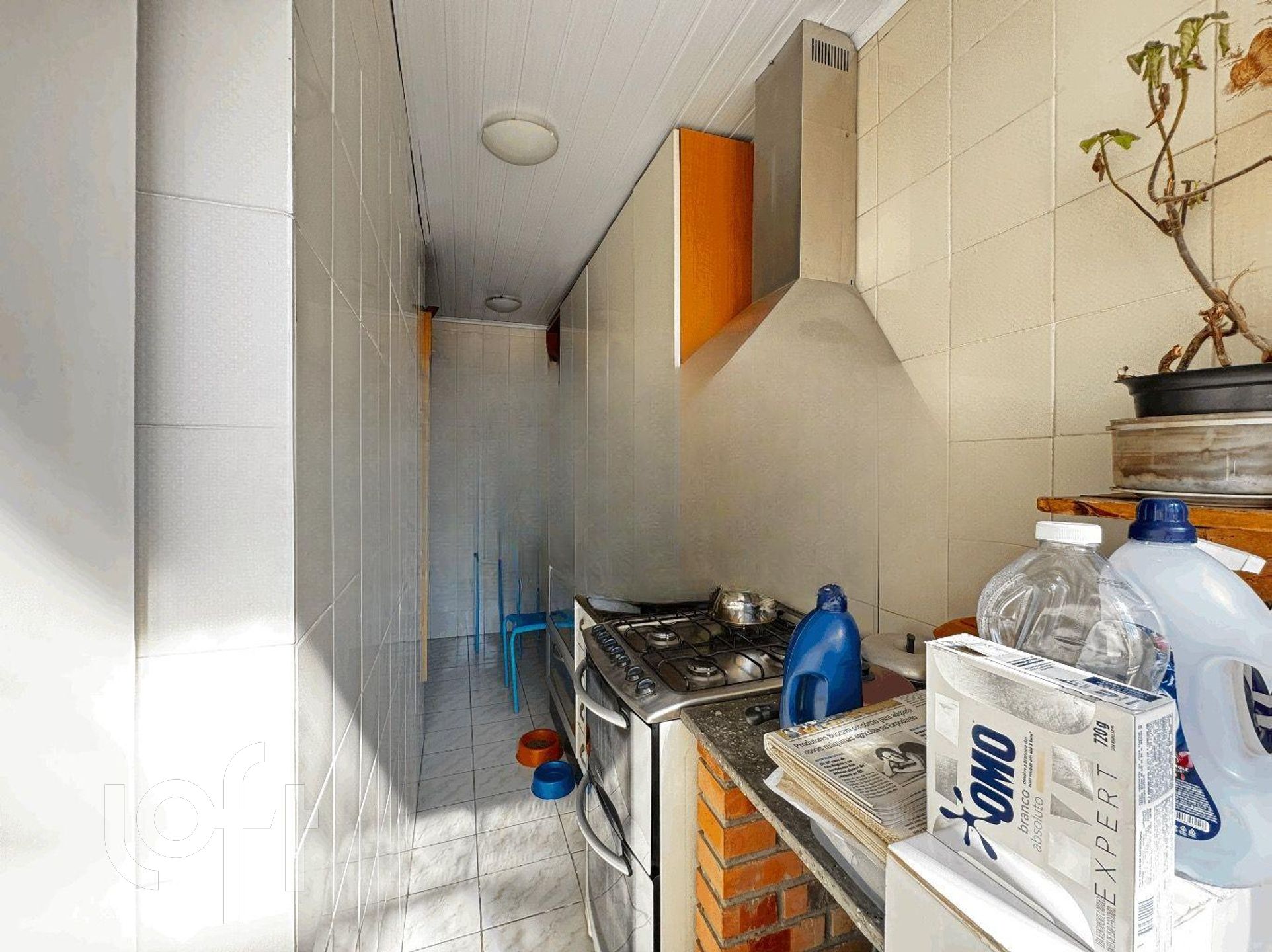 Imagem da propriedade 9