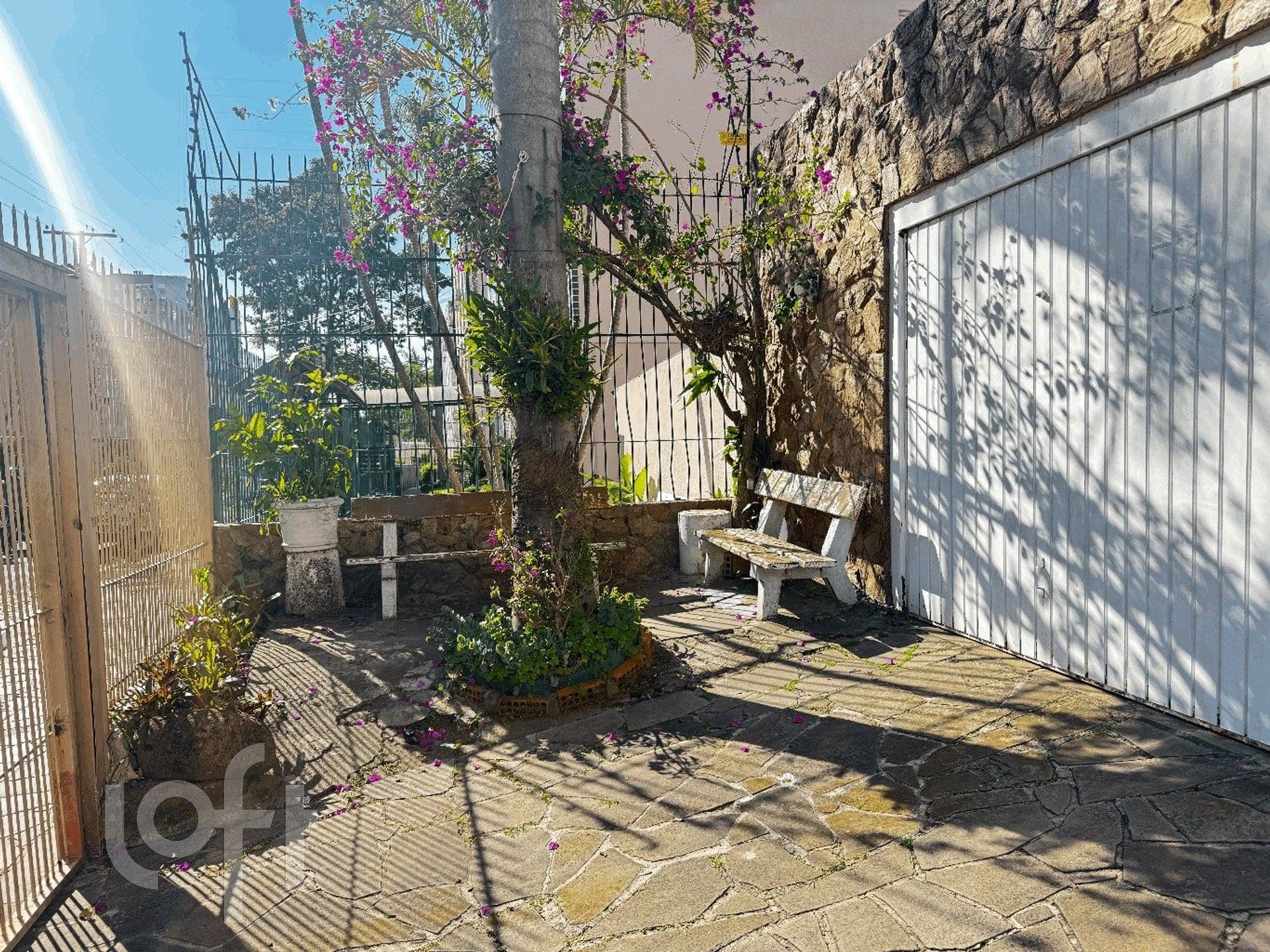 Imagem da propriedade 36