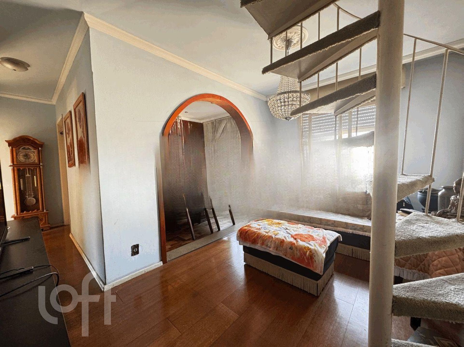 Imagem da propriedade 3