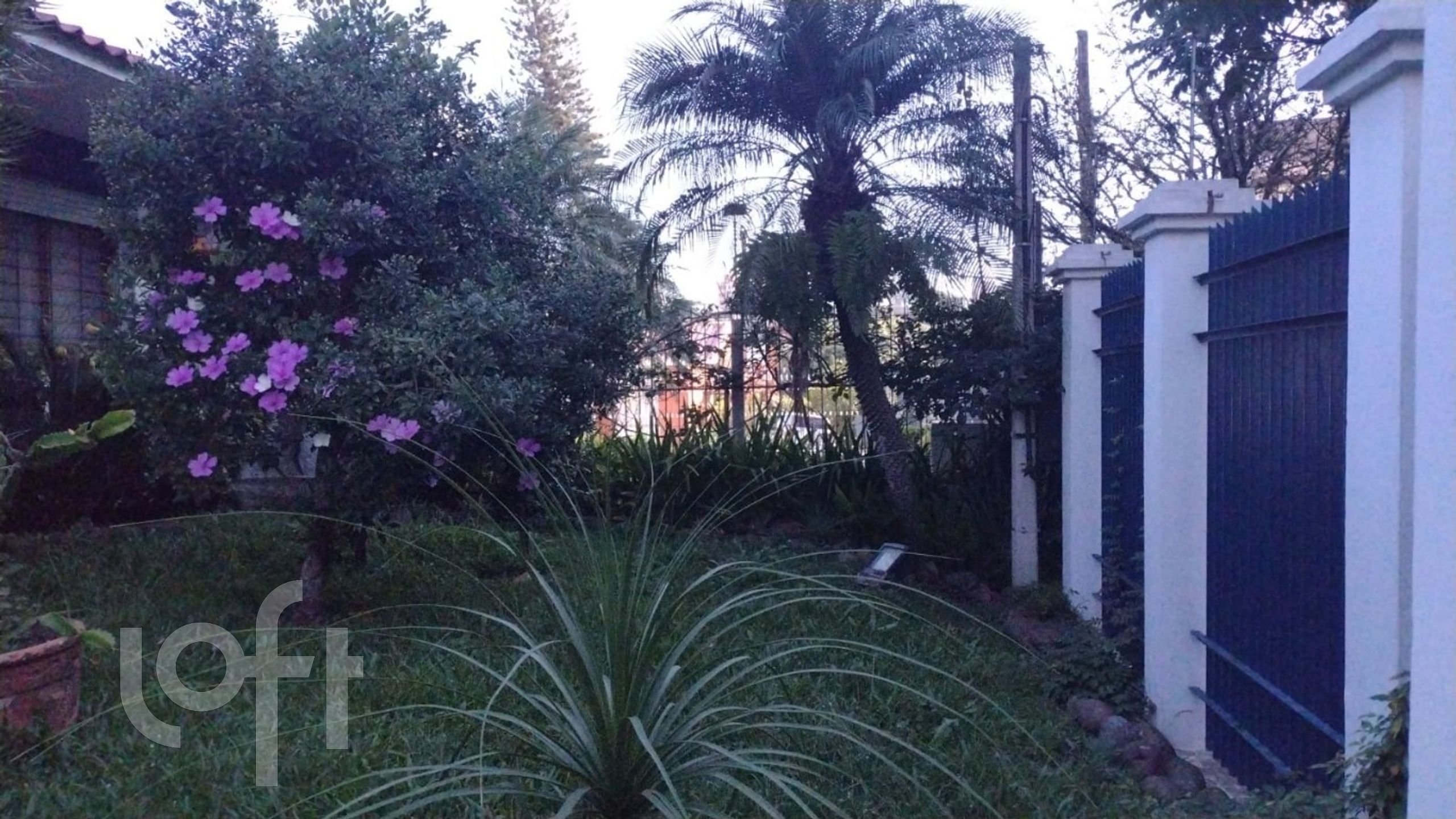 Imagem da propriedade 5