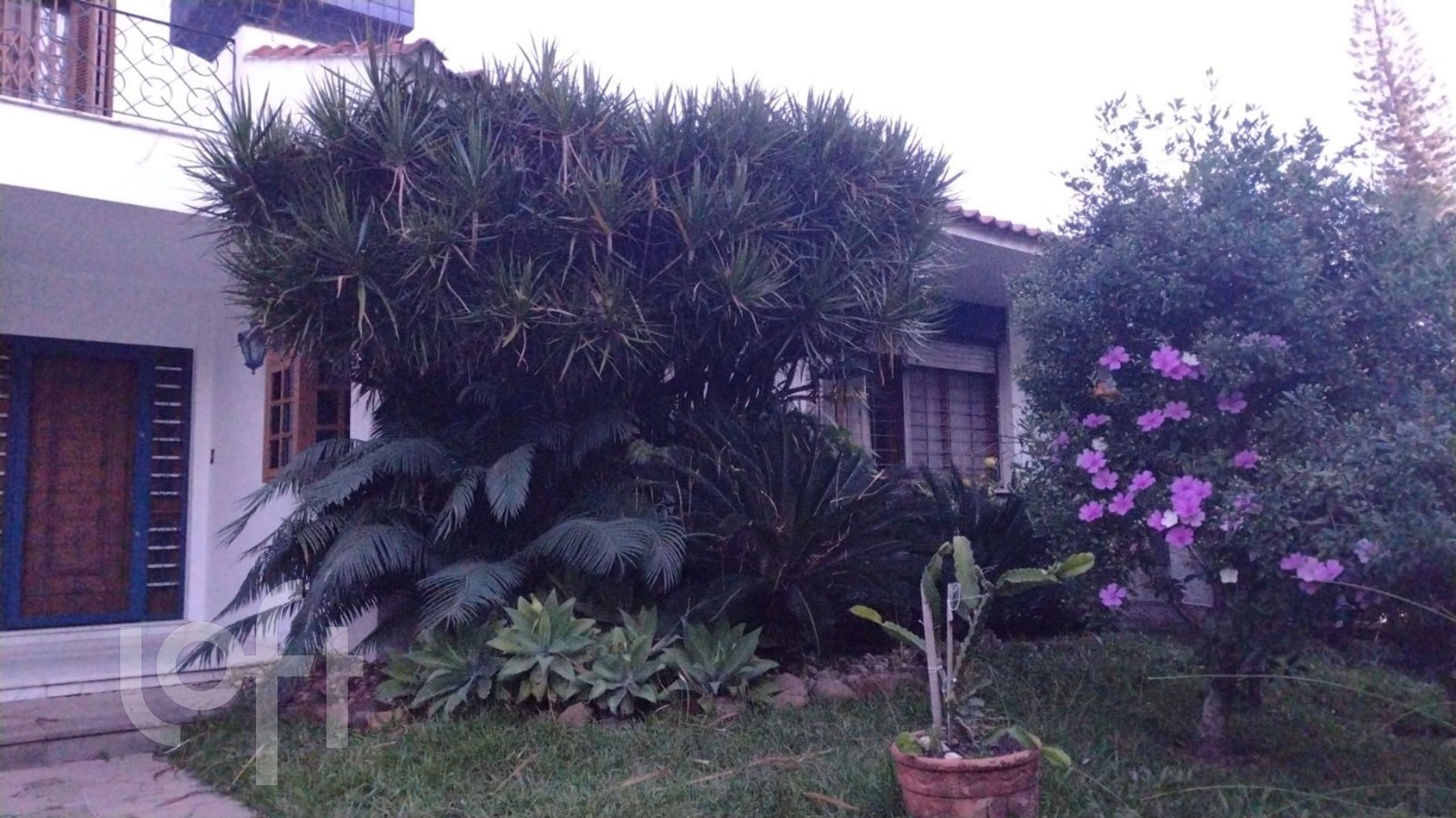 Imagem da propriedade 3