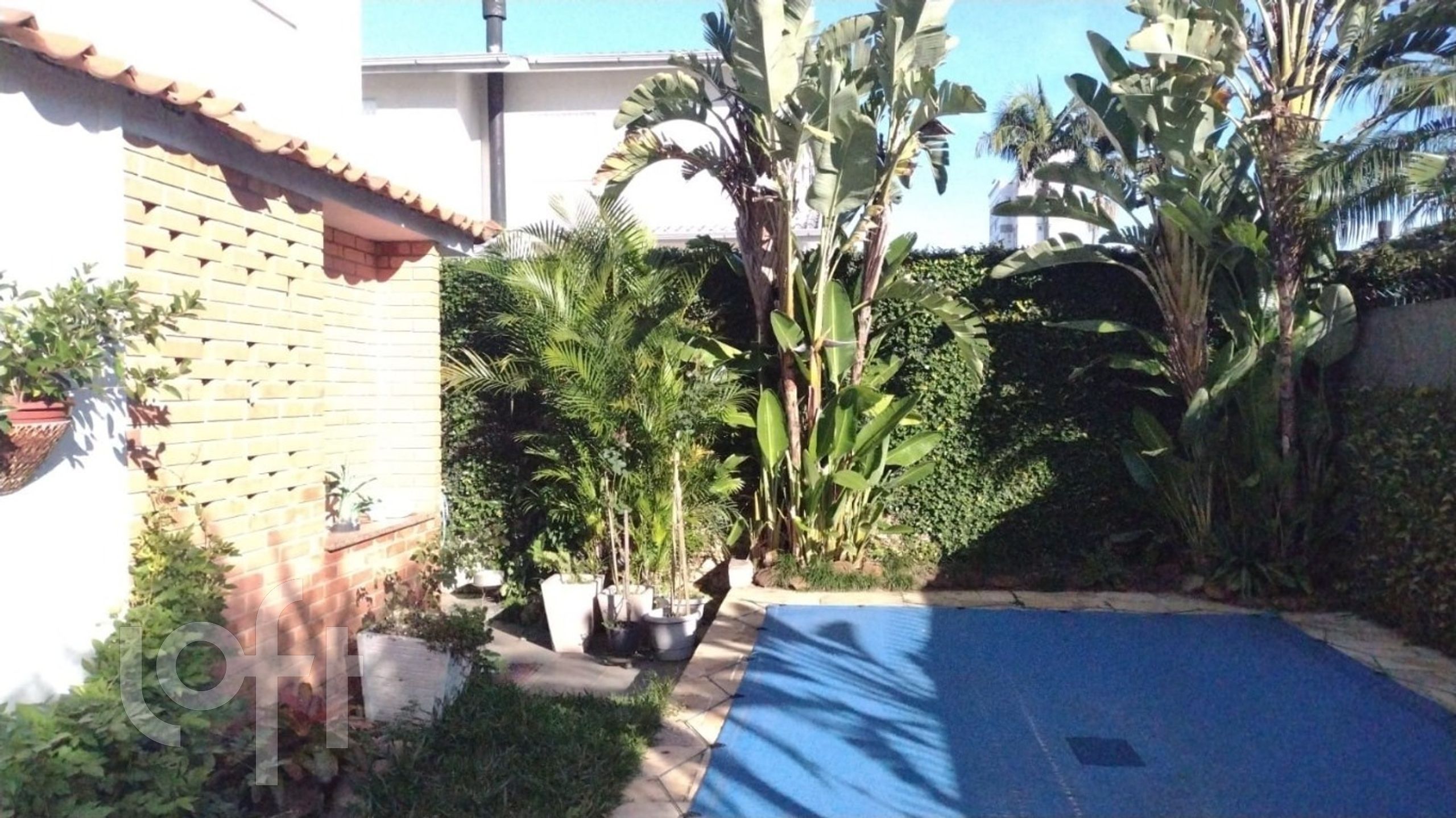 Imagem da propriedade 35