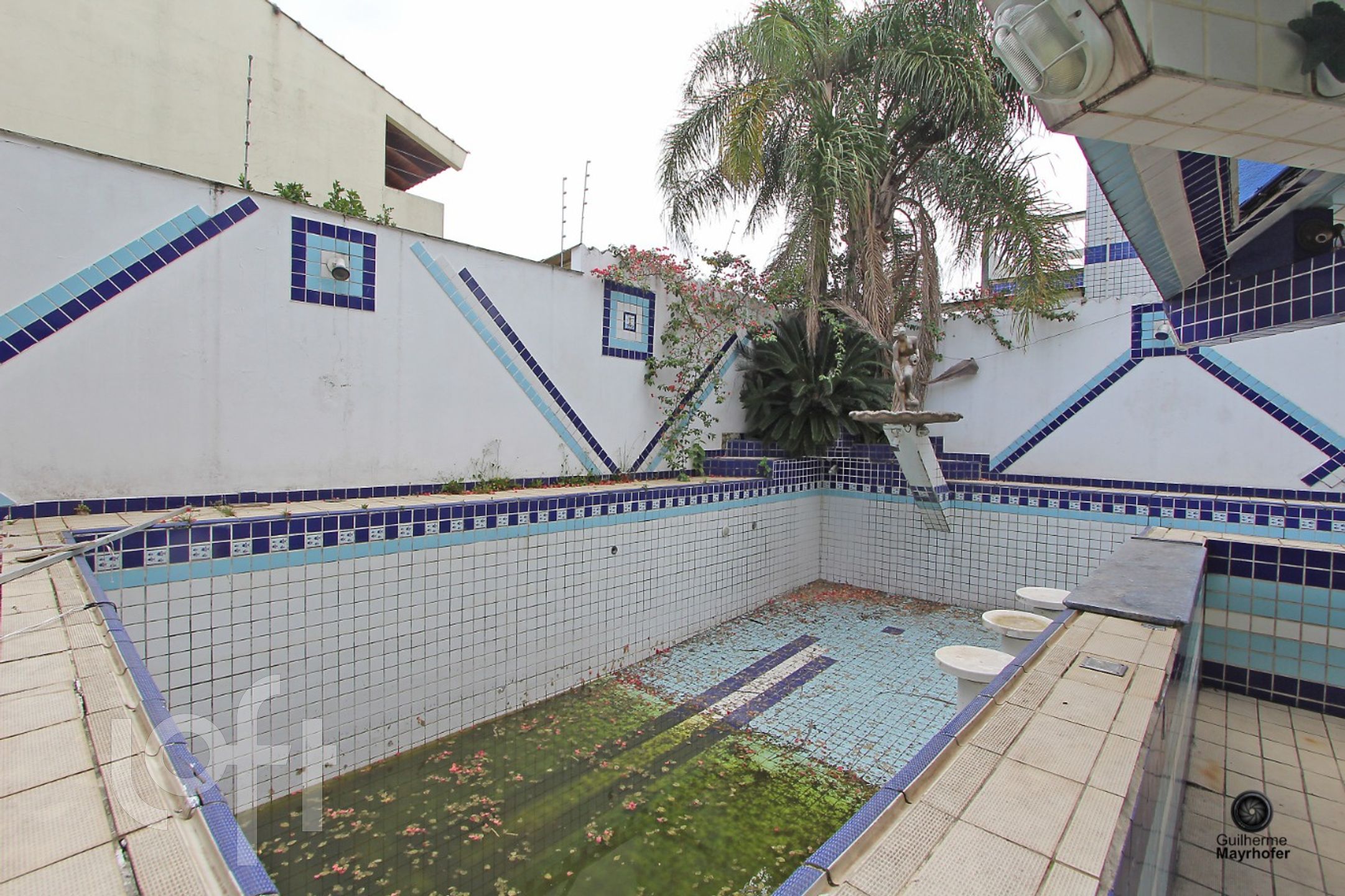 Imagem da propriedade 33