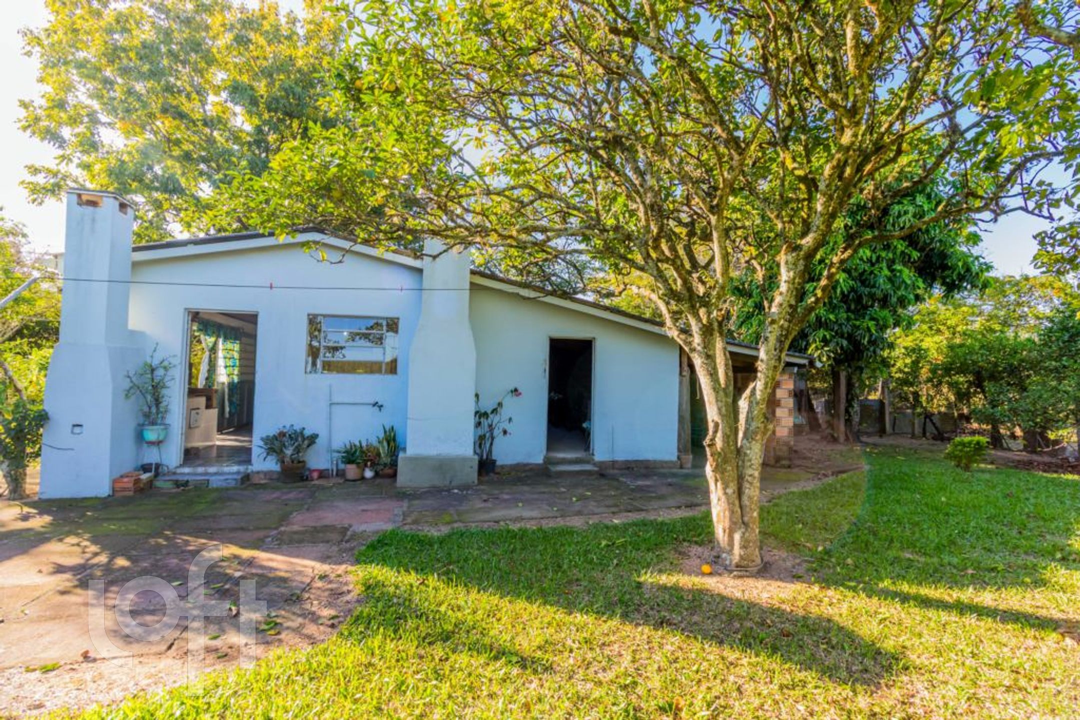 Imagem da propriedade 4