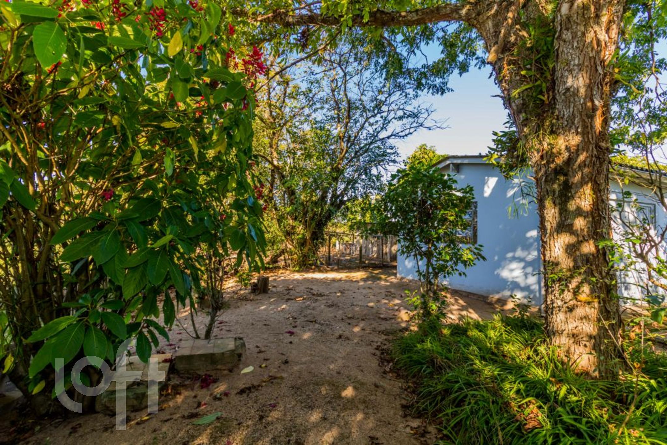 Imagem da propriedade 59