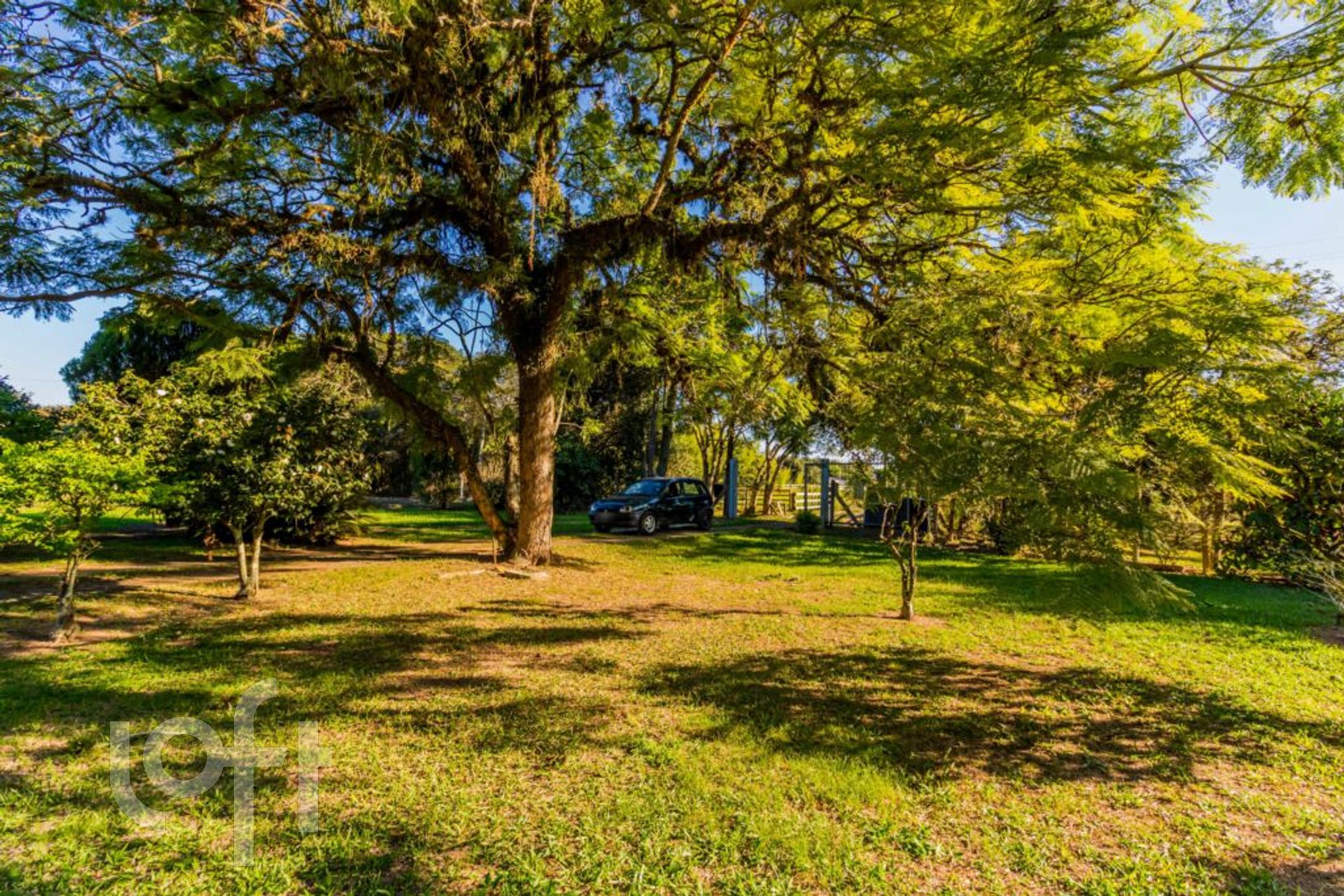 Imagem da propriedade 57