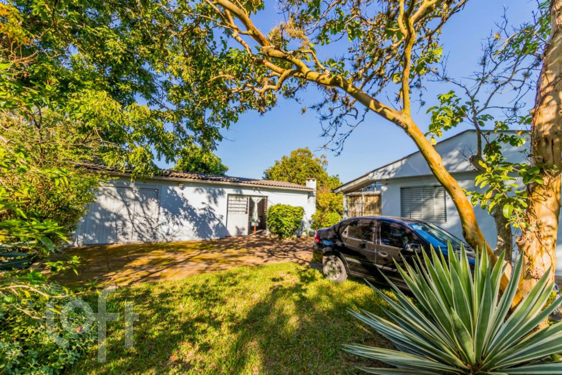 Imagem da propriedade 55