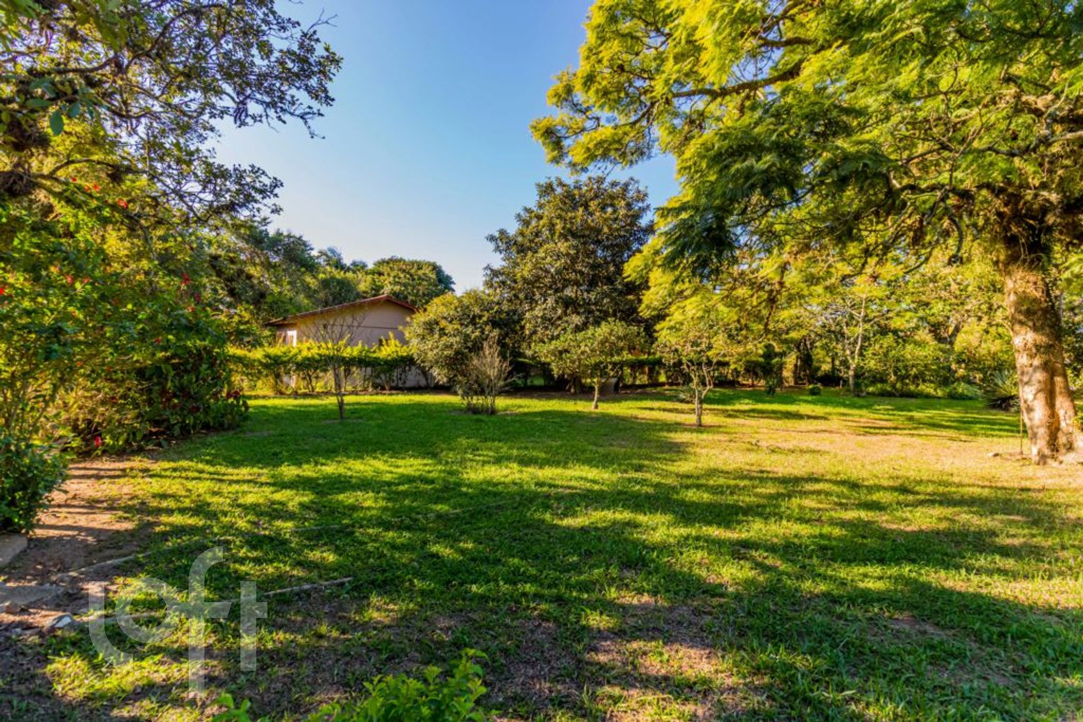 Imagem da propriedade 85