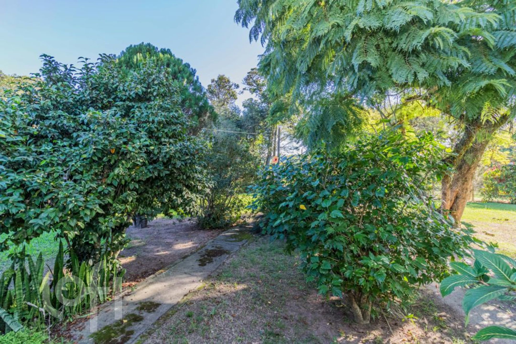 Imagem da propriedade 76