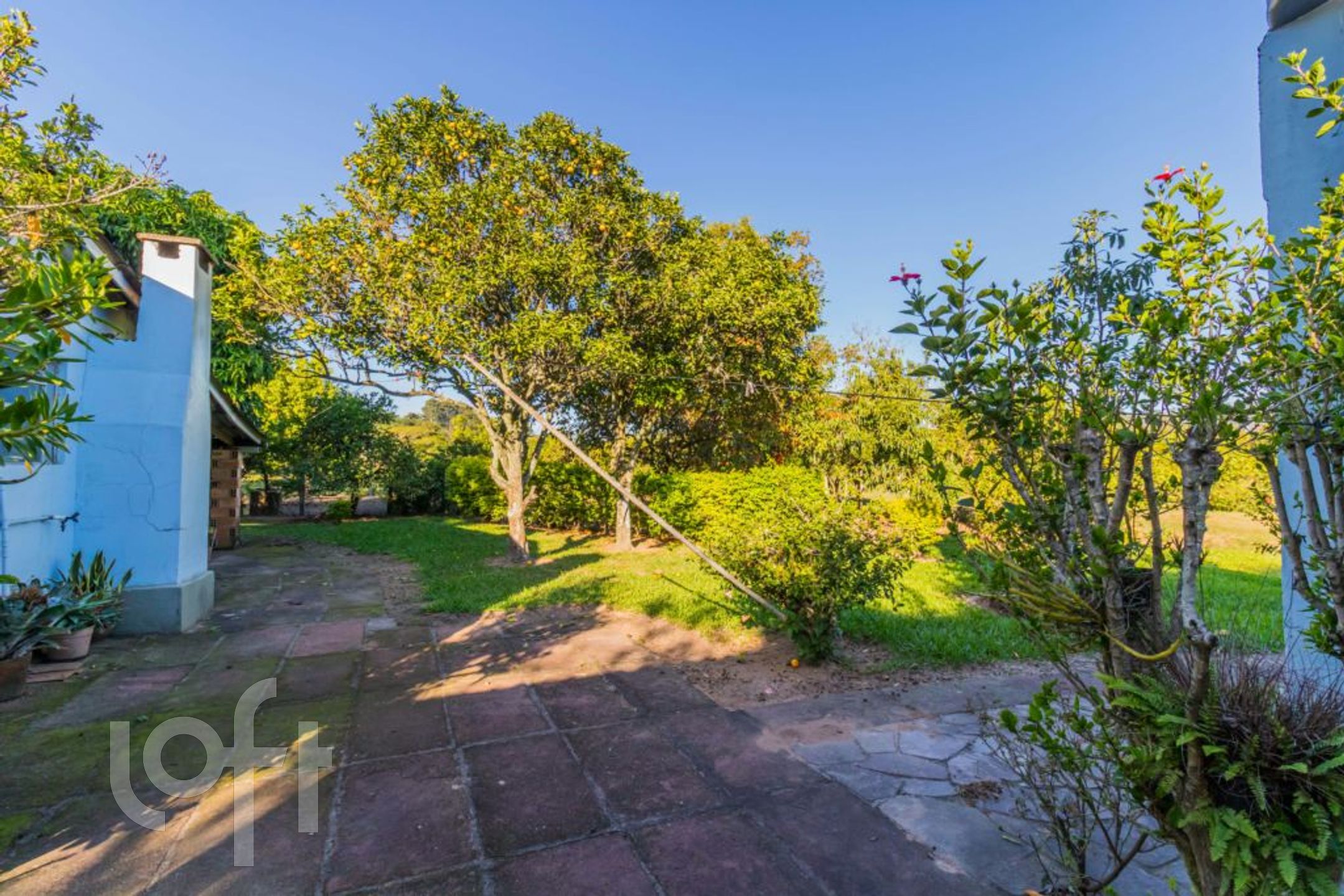 Imagem da propriedade 83