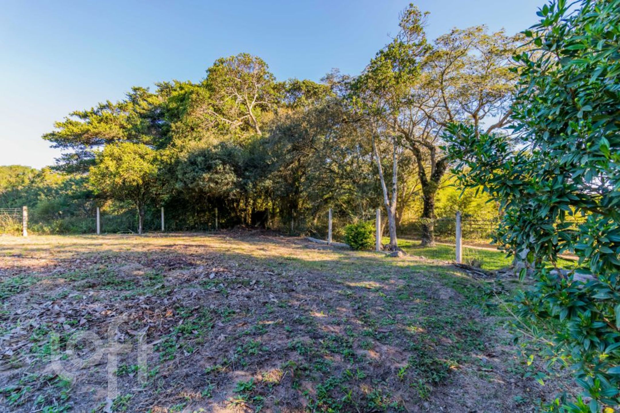 Imagem da propriedade 71