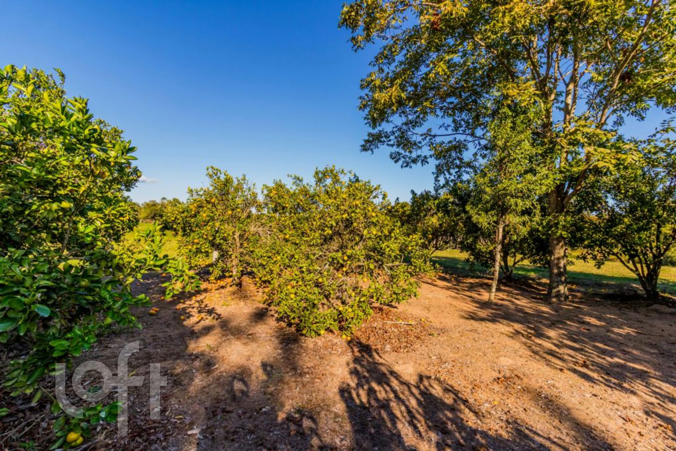 Imagem da propriedade 62