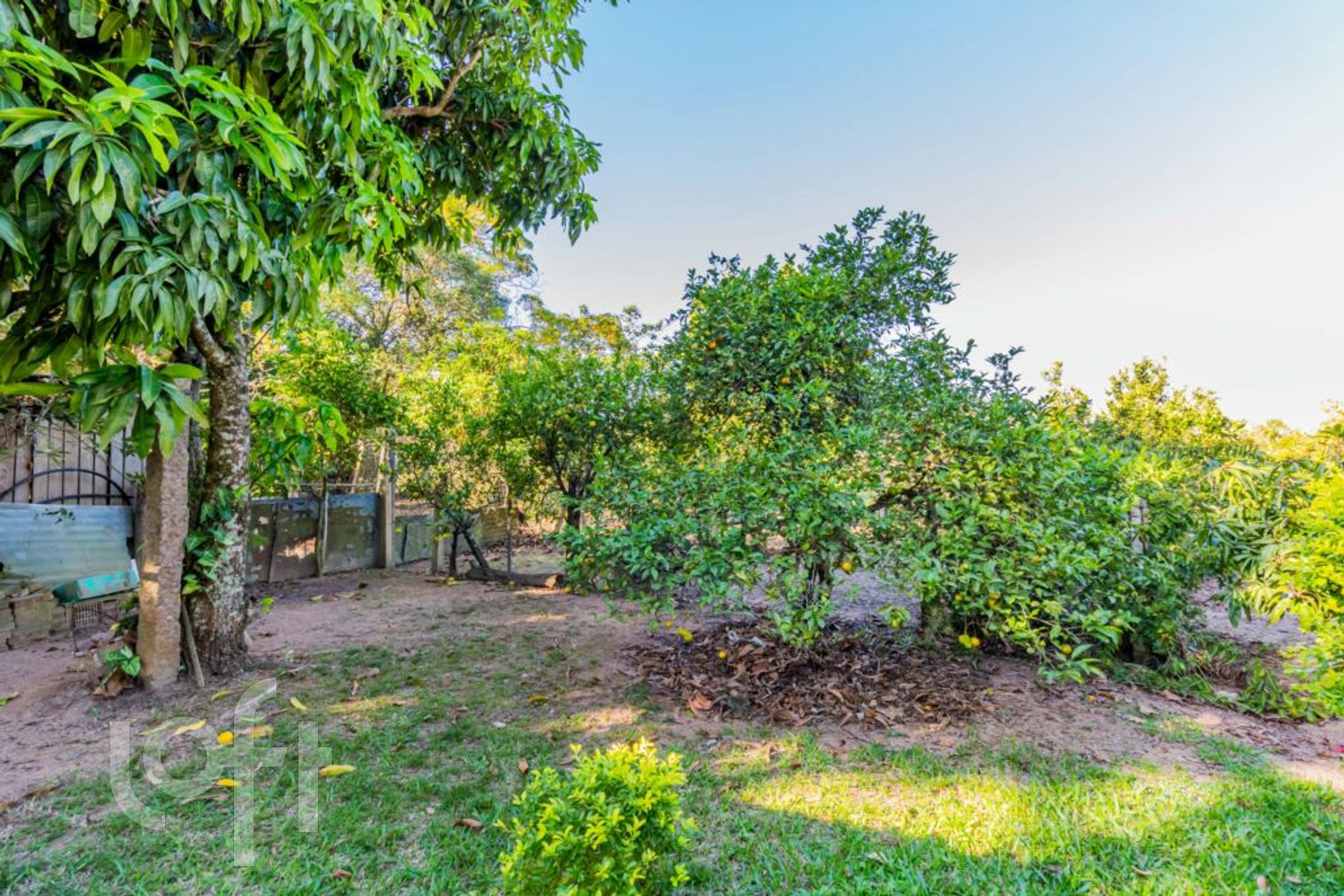 Imagem da propriedade 51