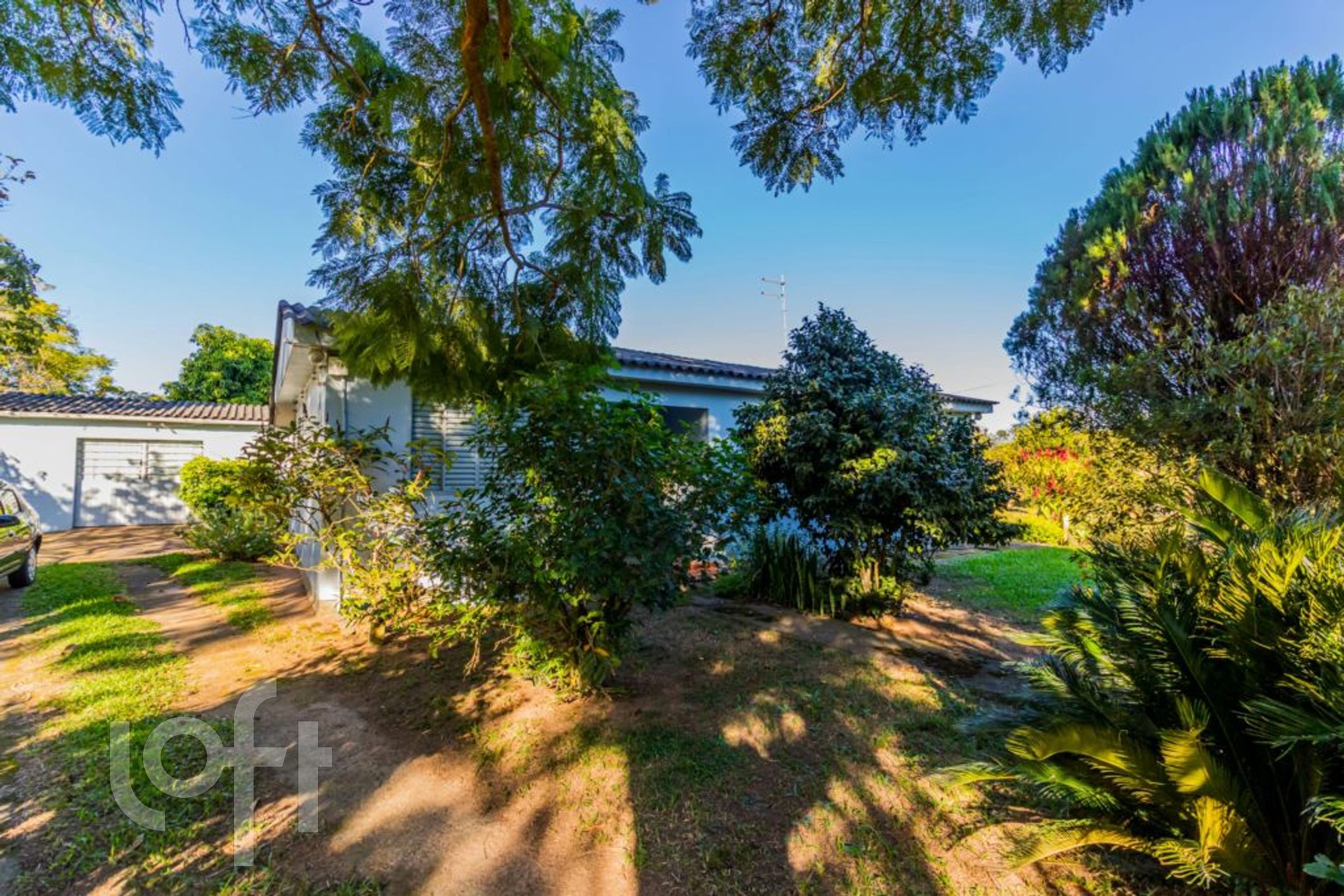 Imagem da propriedade 82