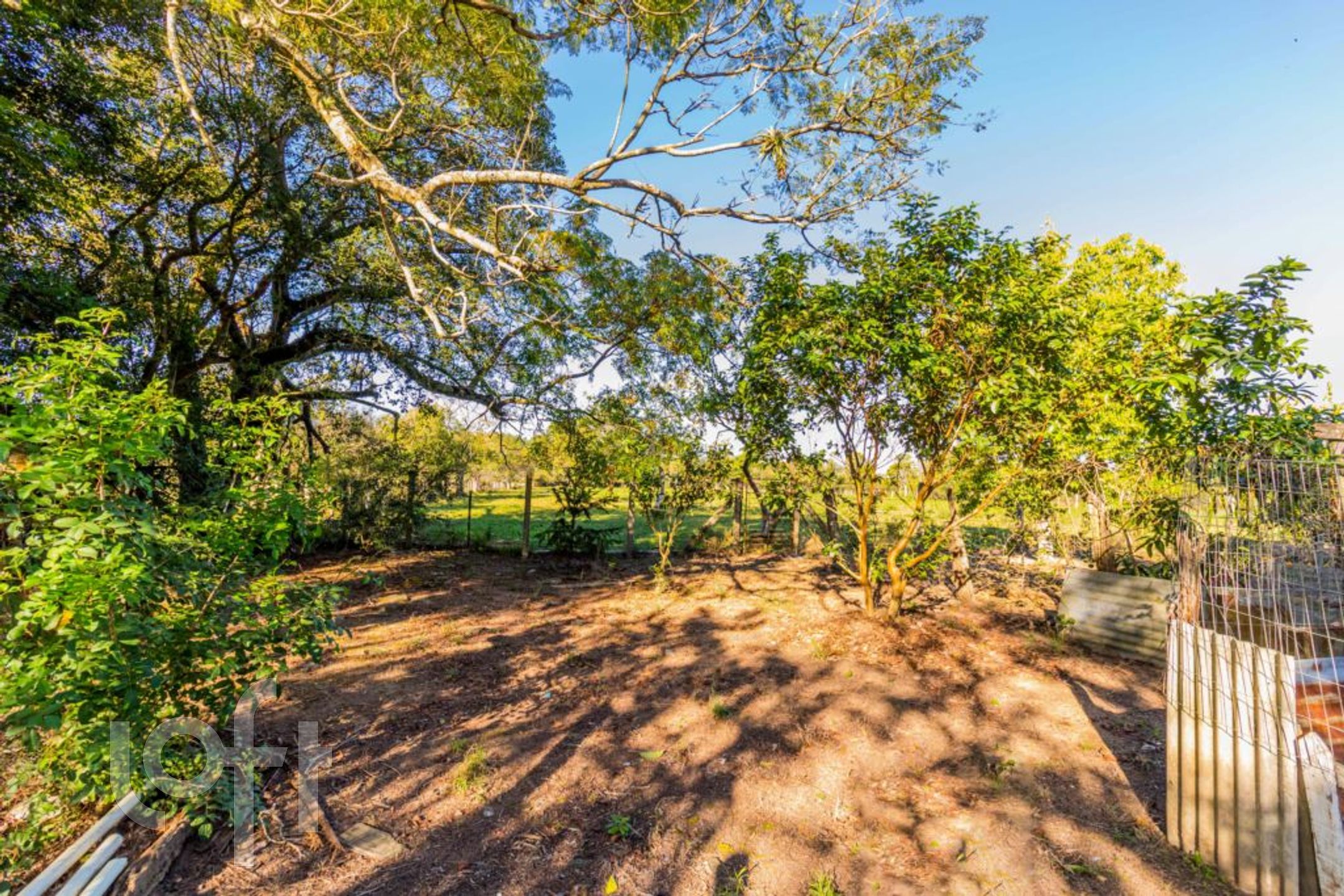 Imagem da propriedade 75