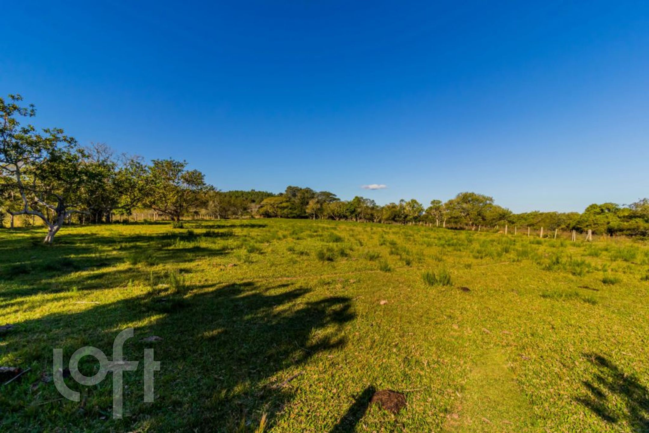 Imagem da propriedade 63