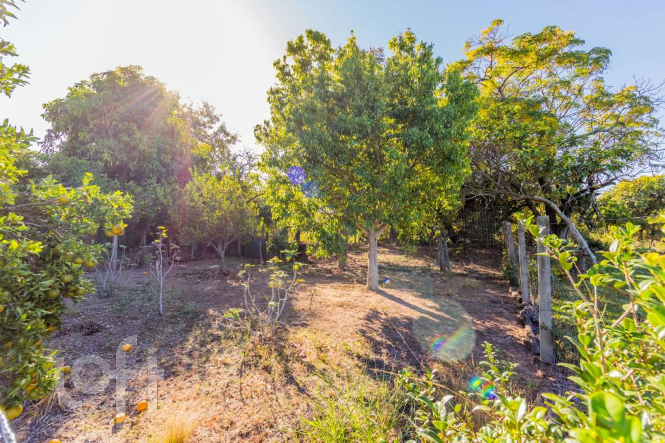 Imagem da propriedade 64