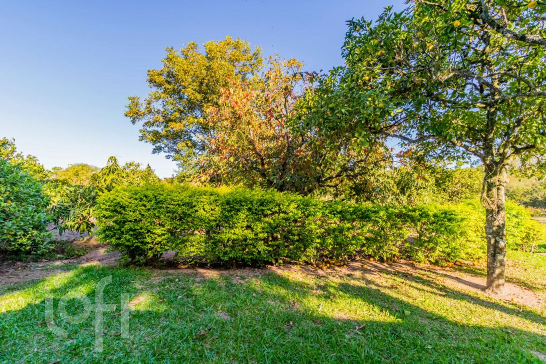 Imagem da propriedade 52