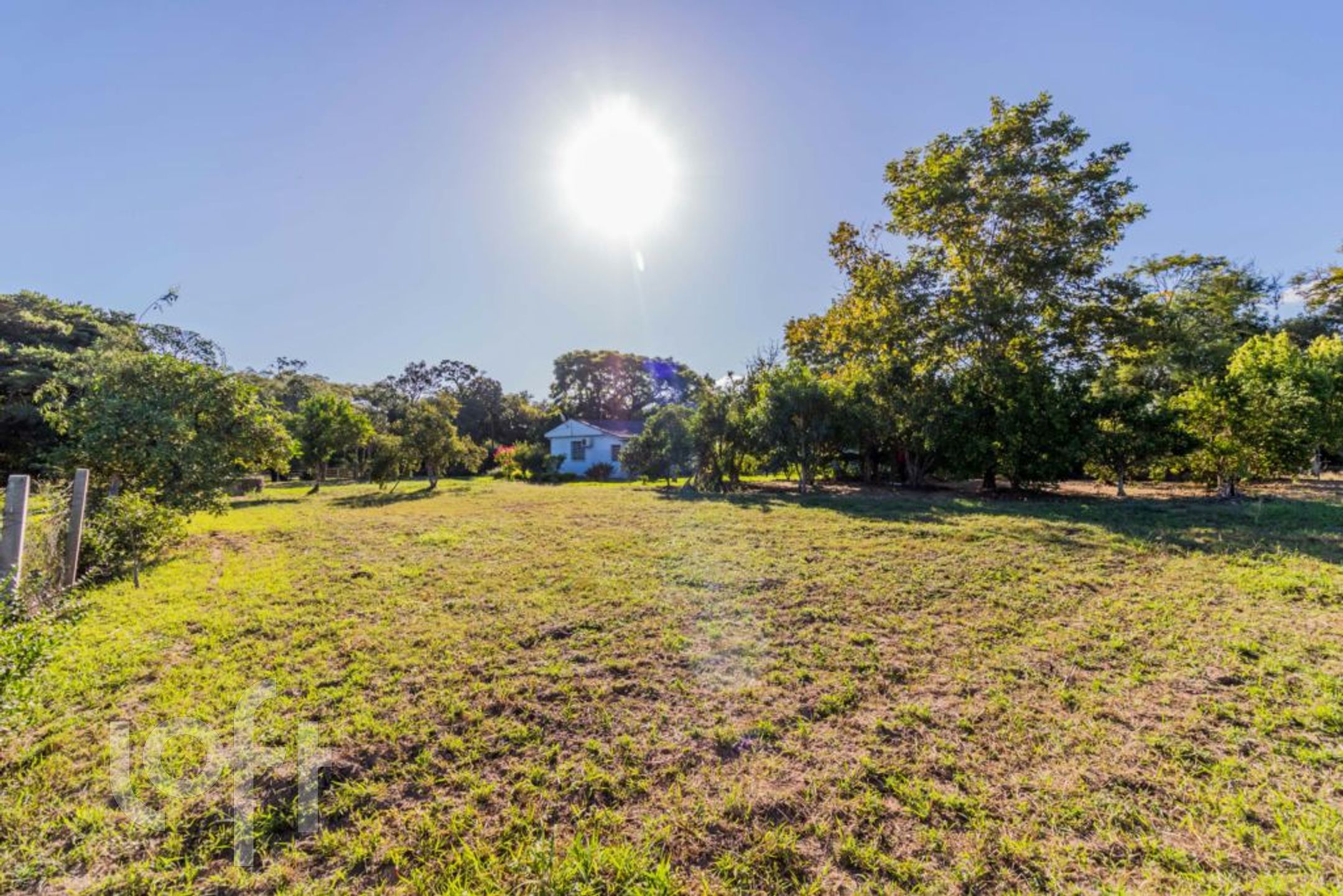 Imagem da propriedade 66