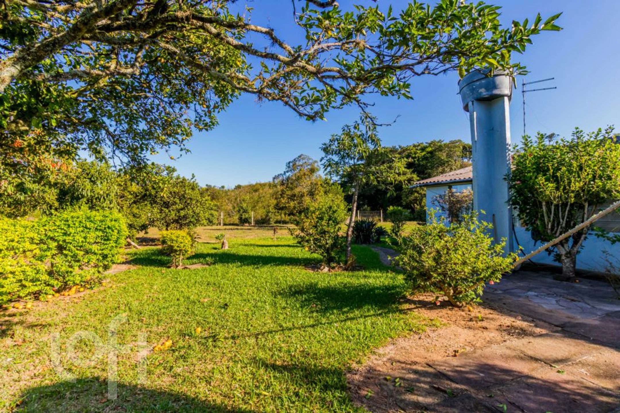 Imagem da propriedade 53