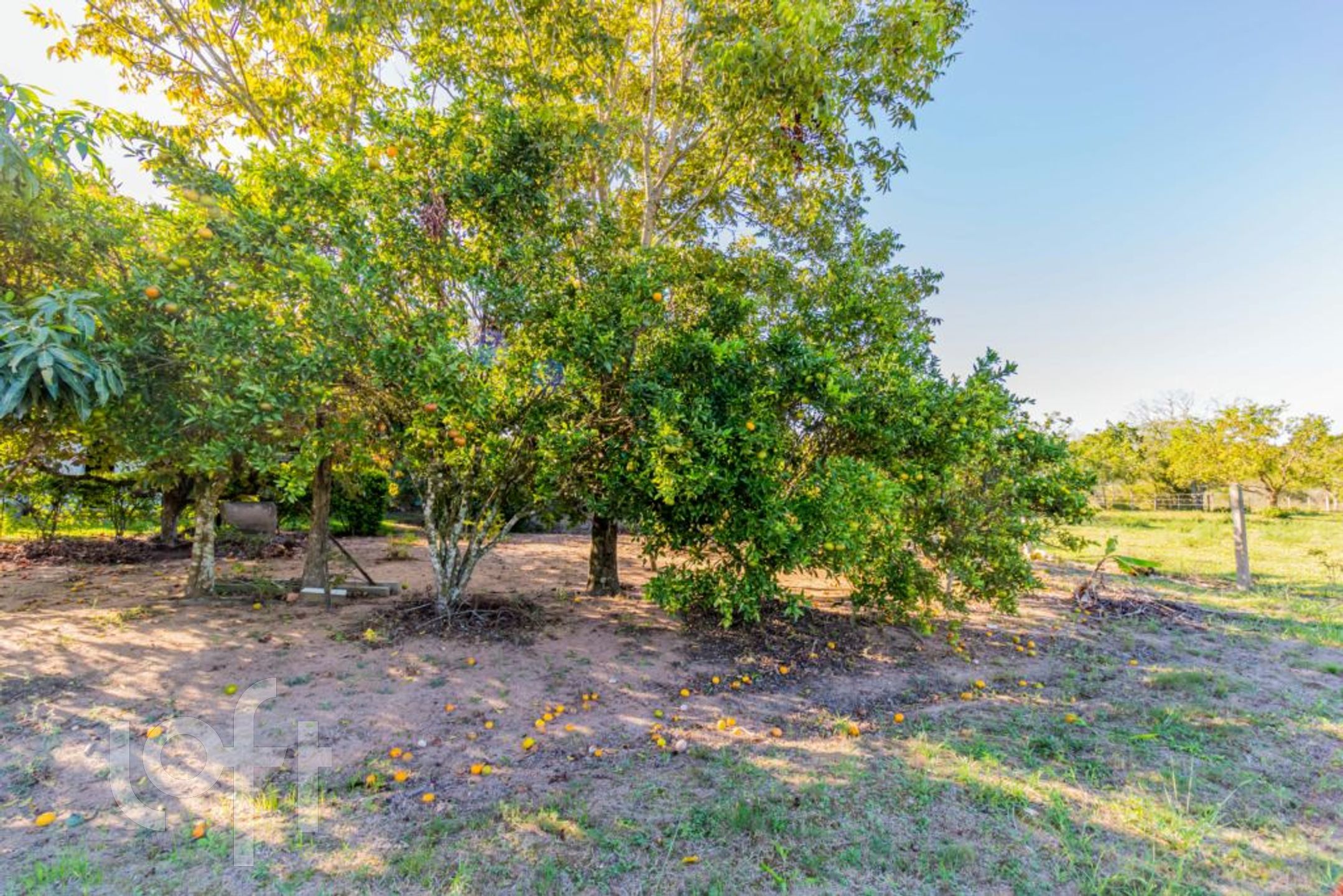 Imagem da propriedade 69