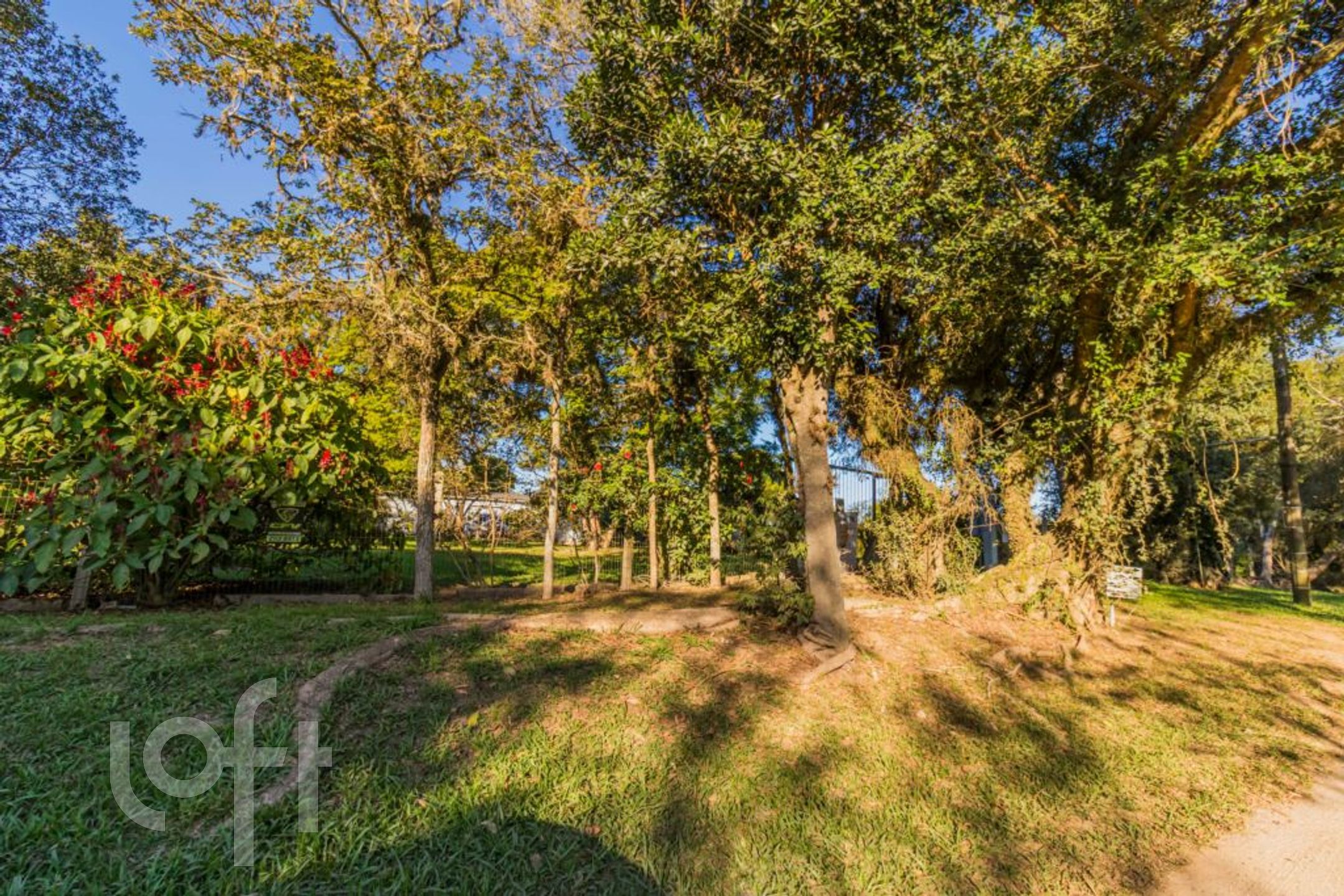 Imagem da propriedade 91