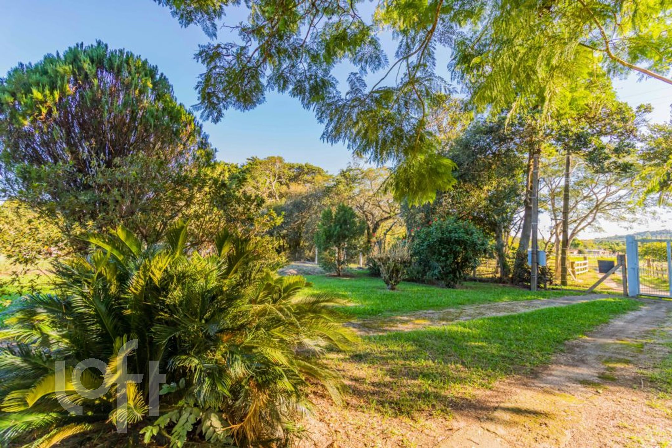 Imagem da propriedade 87